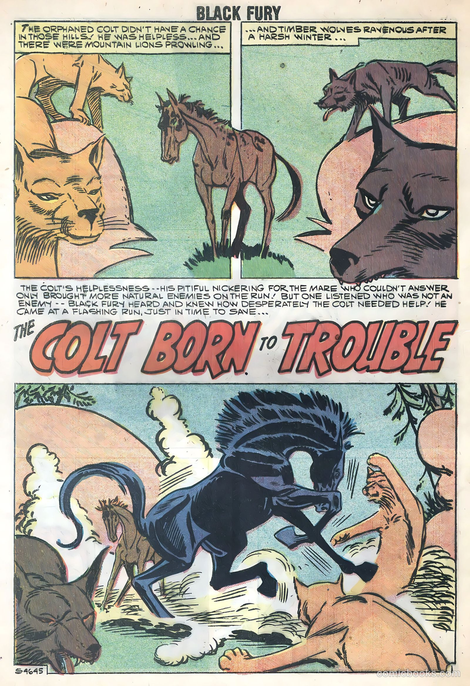 Black Fury #17 — page 28 of 36
