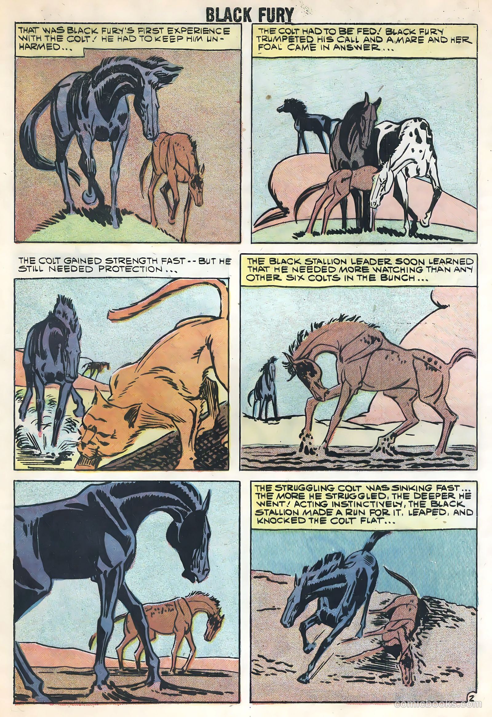 Black Fury #17 — page 29 of 36