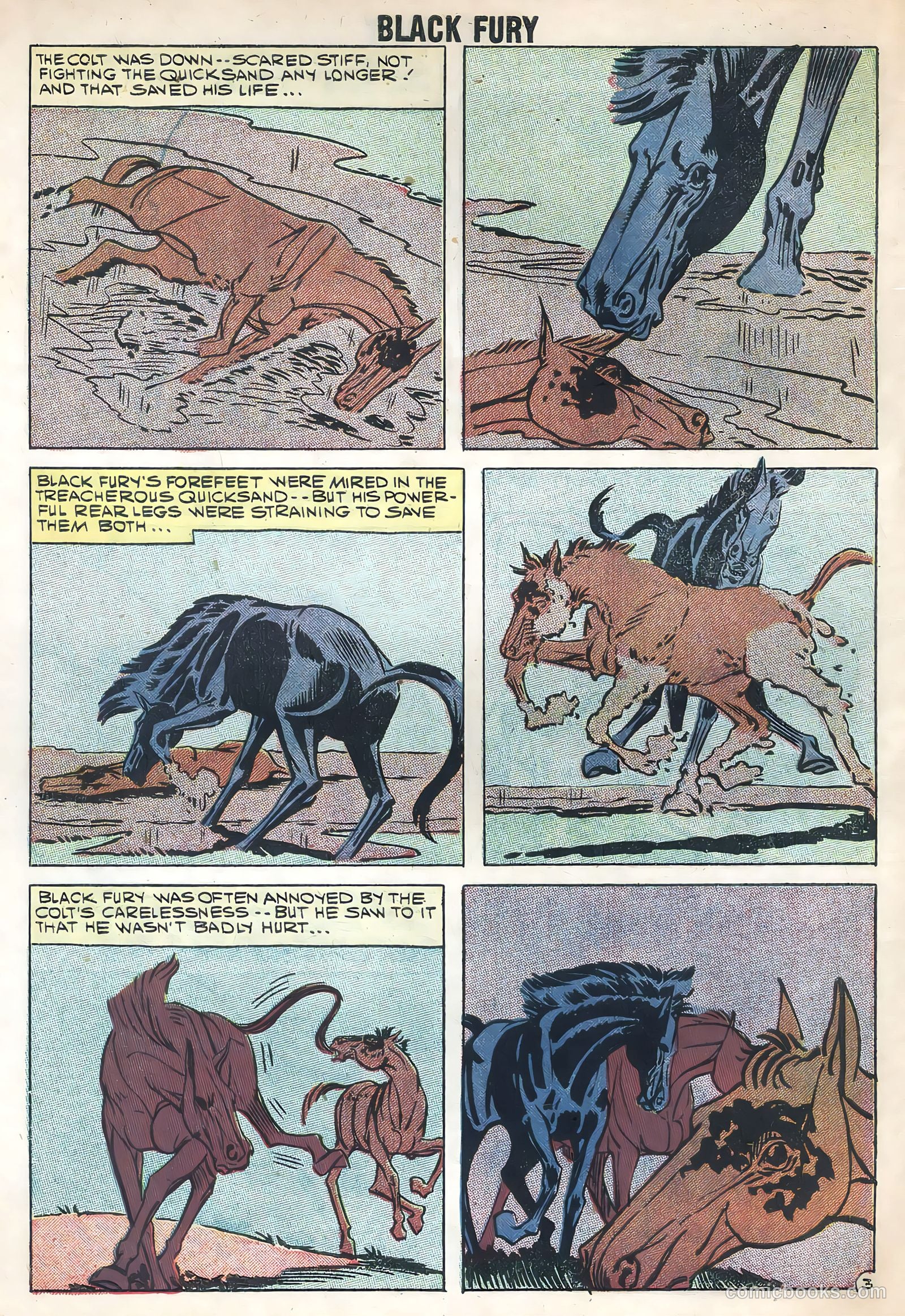 Black Fury #17 — page 30 of 36