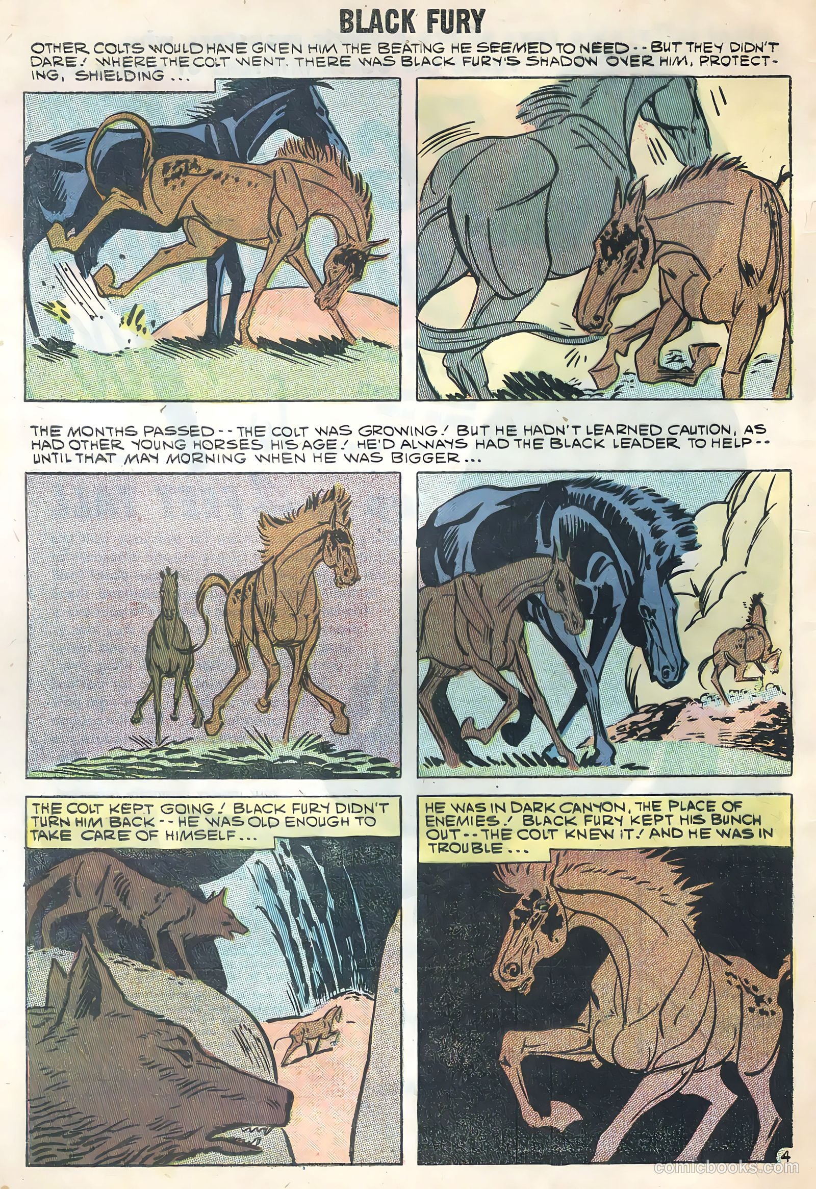Black Fury #17 — page 32 of 36