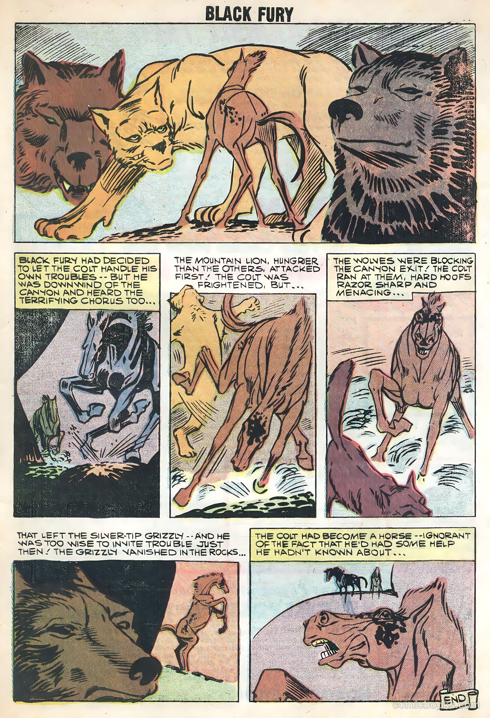 Black Fury #17 — page 33 of 36
