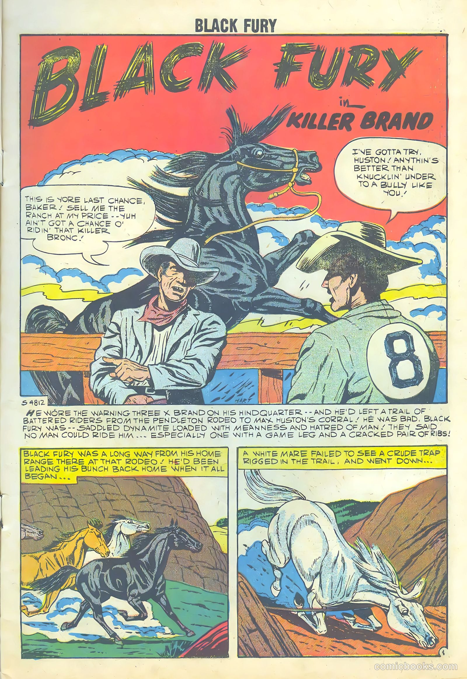 Black Fury #18 — page 3 of 35