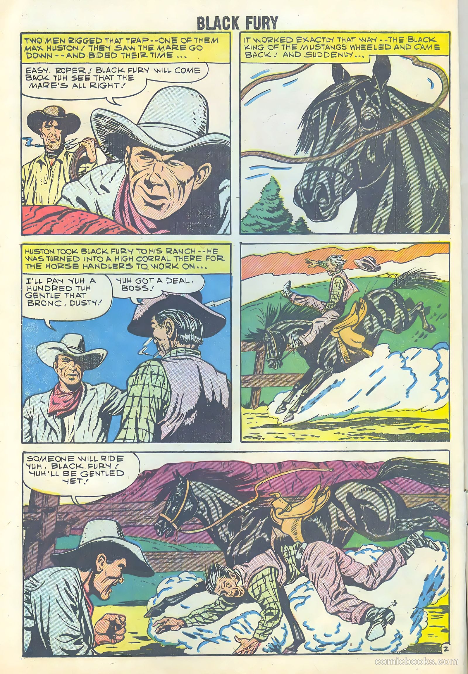 Black Fury #18 — page 4 of 35