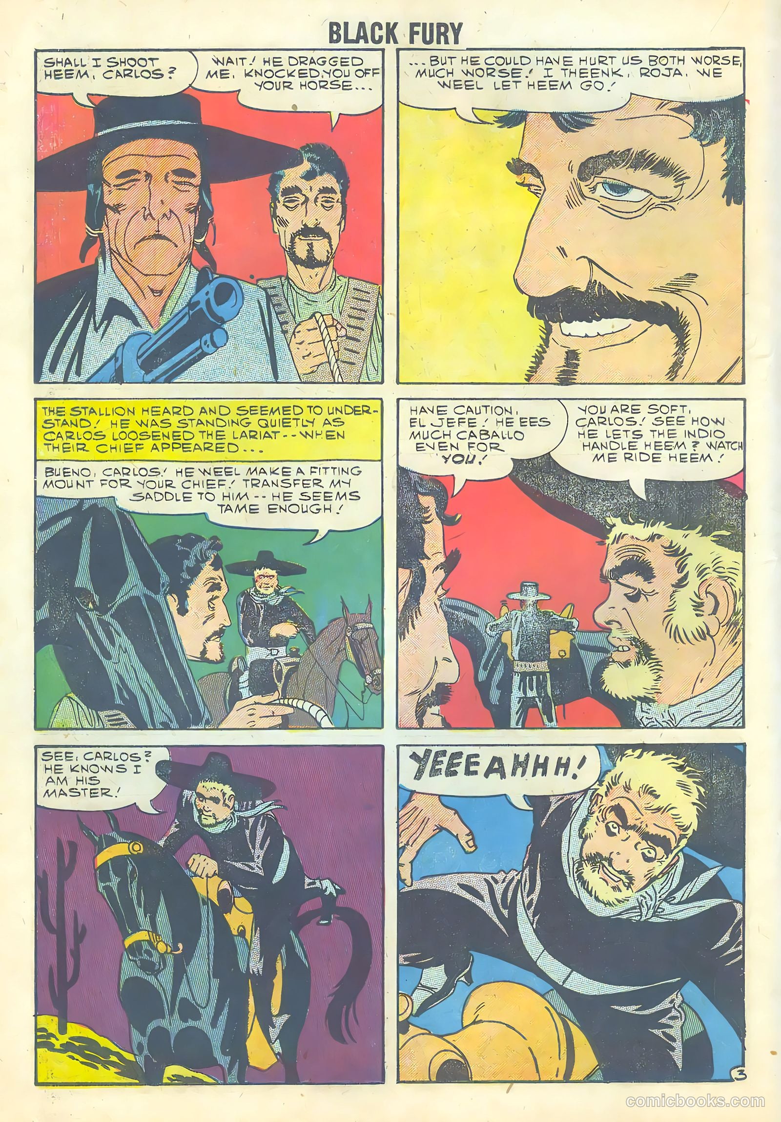 Black Fury #18 — page 17 of 35