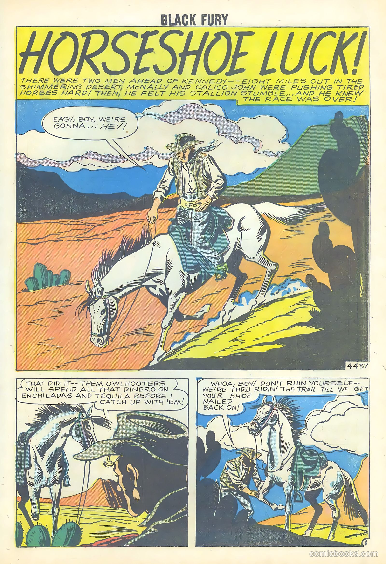 Black Fury #18 — page 20 of 35