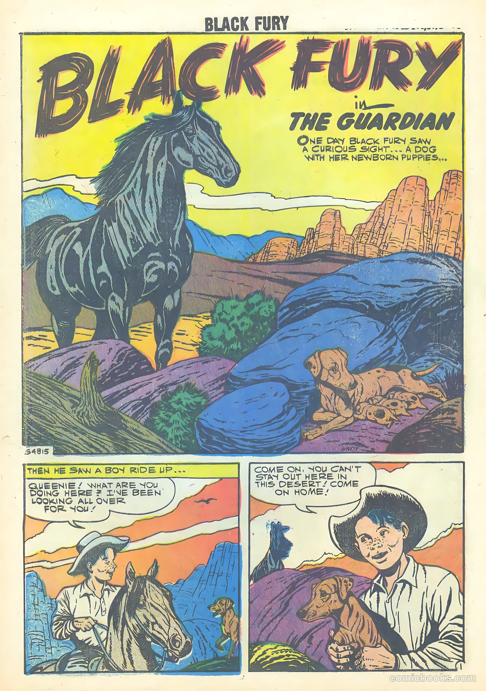 Black Fury #18 — page 27 of 35