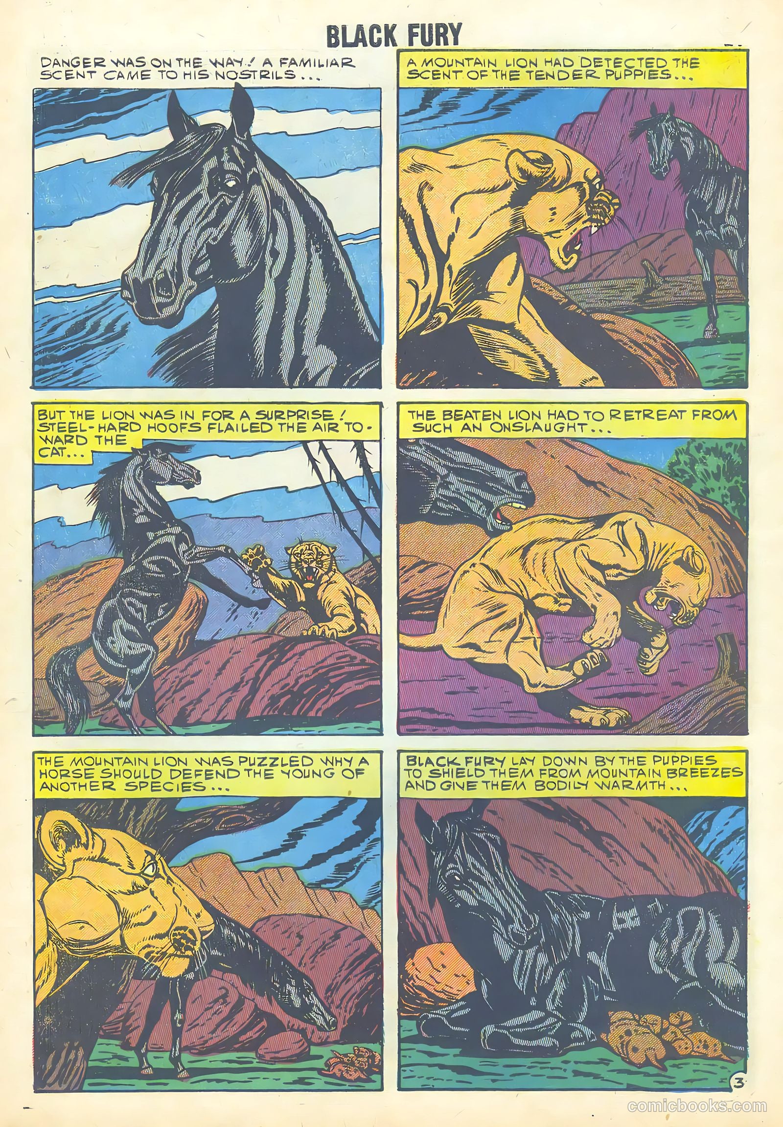 Black Fury #18 — page 29 of 35
