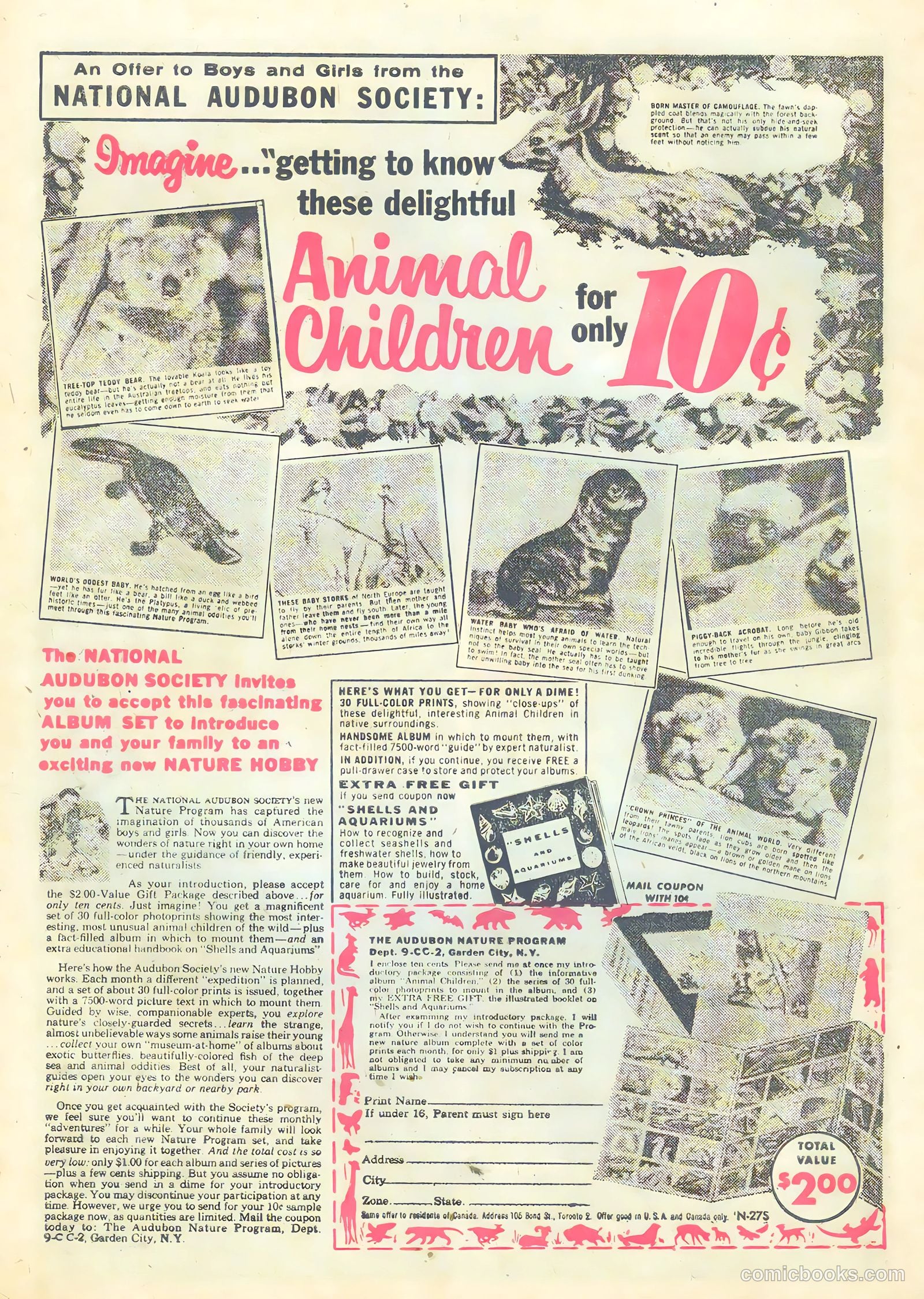 Black Fury #18 — page 33 of 35