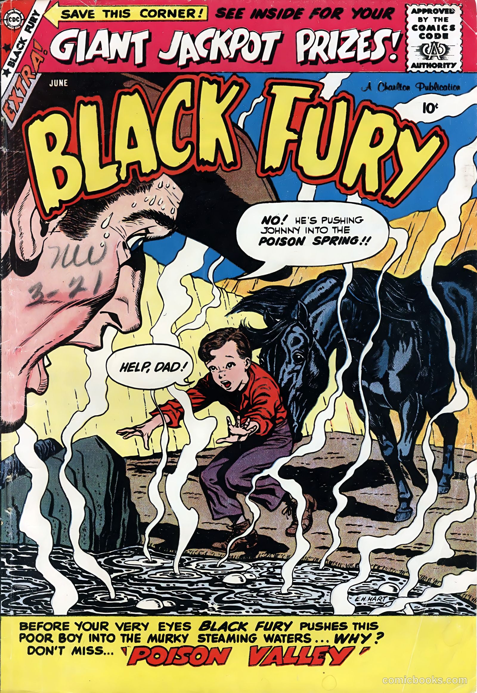 Black Fury #19 — page 1 of 36
