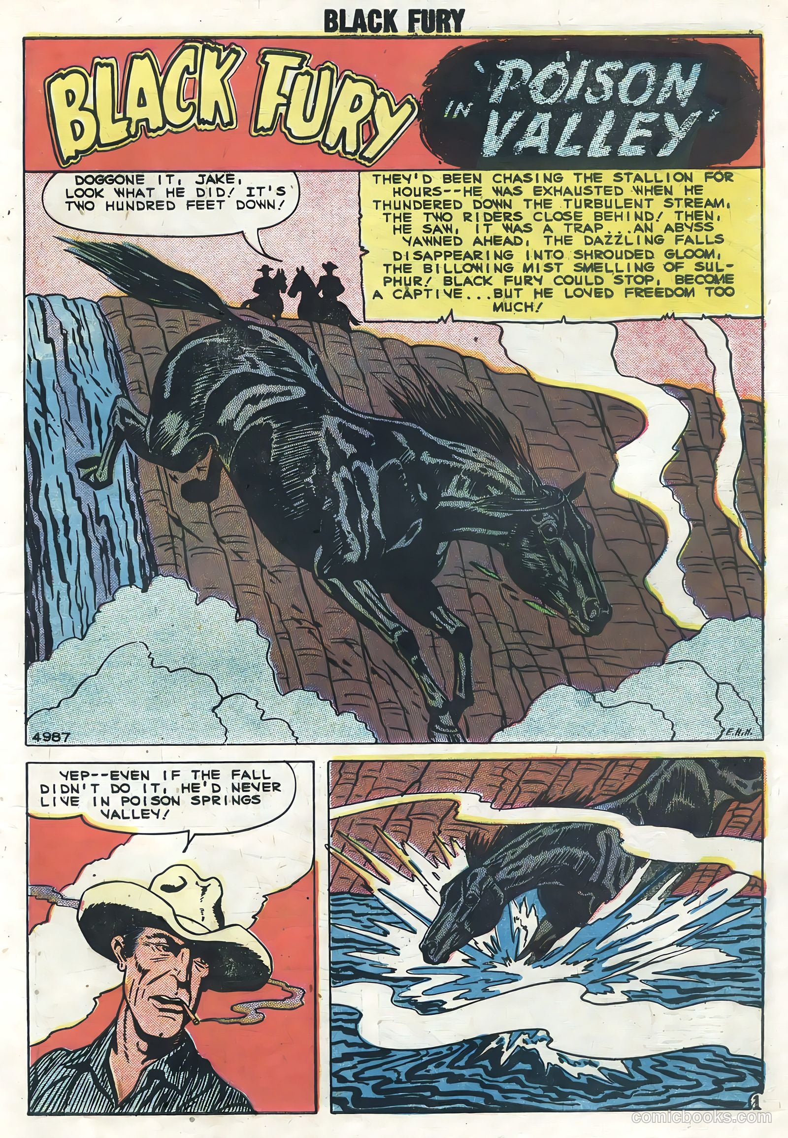 Black Fury #19 — page 3 of 36