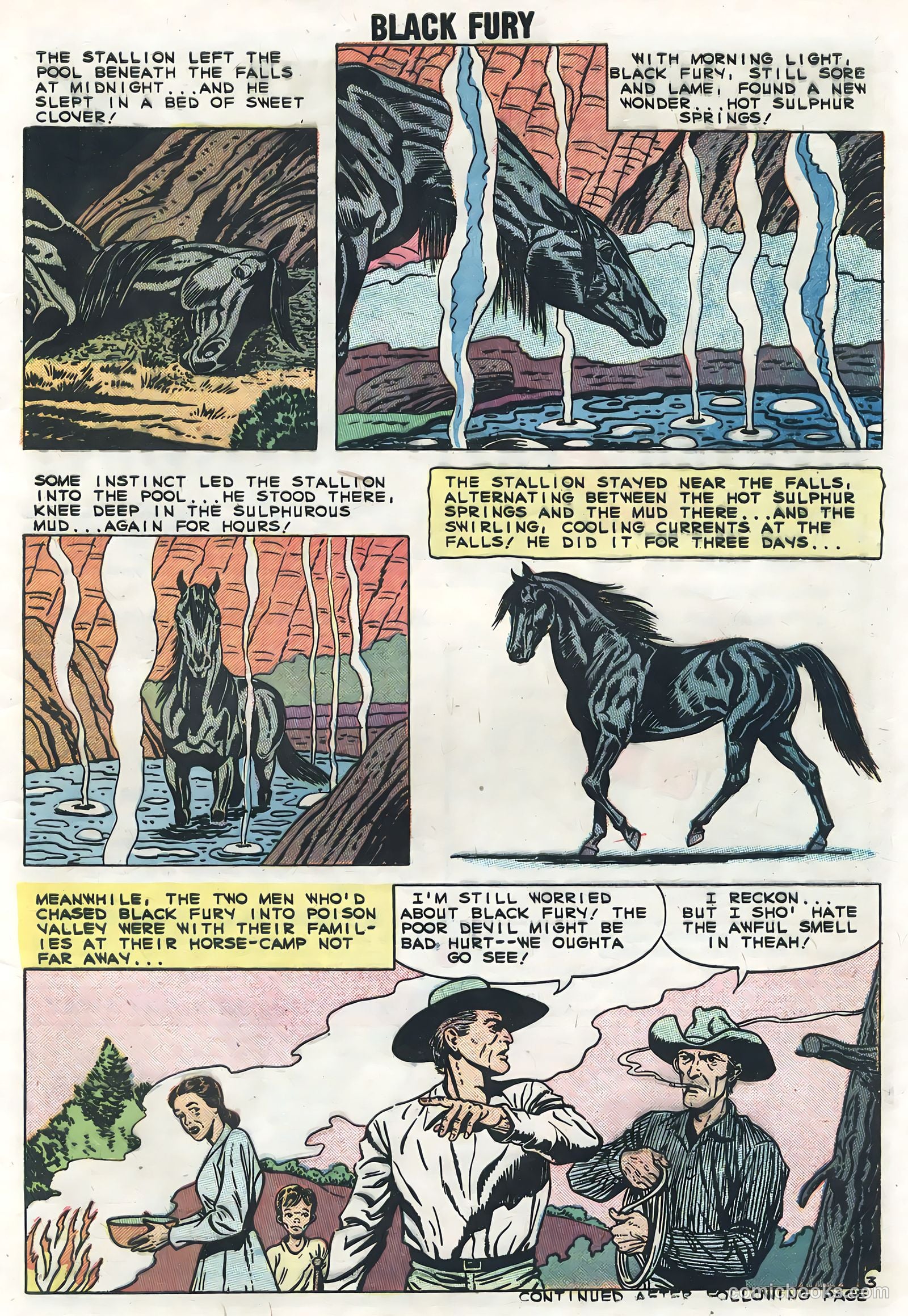 Black Fury #19 — page 5 of 36