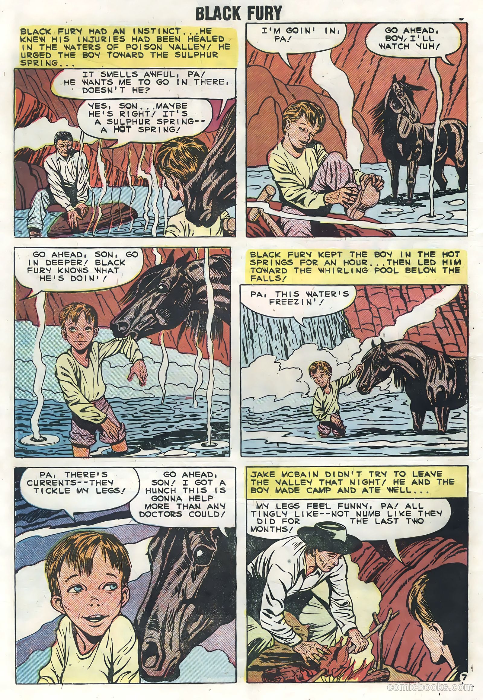 Black Fury #19 — page 10 of 36