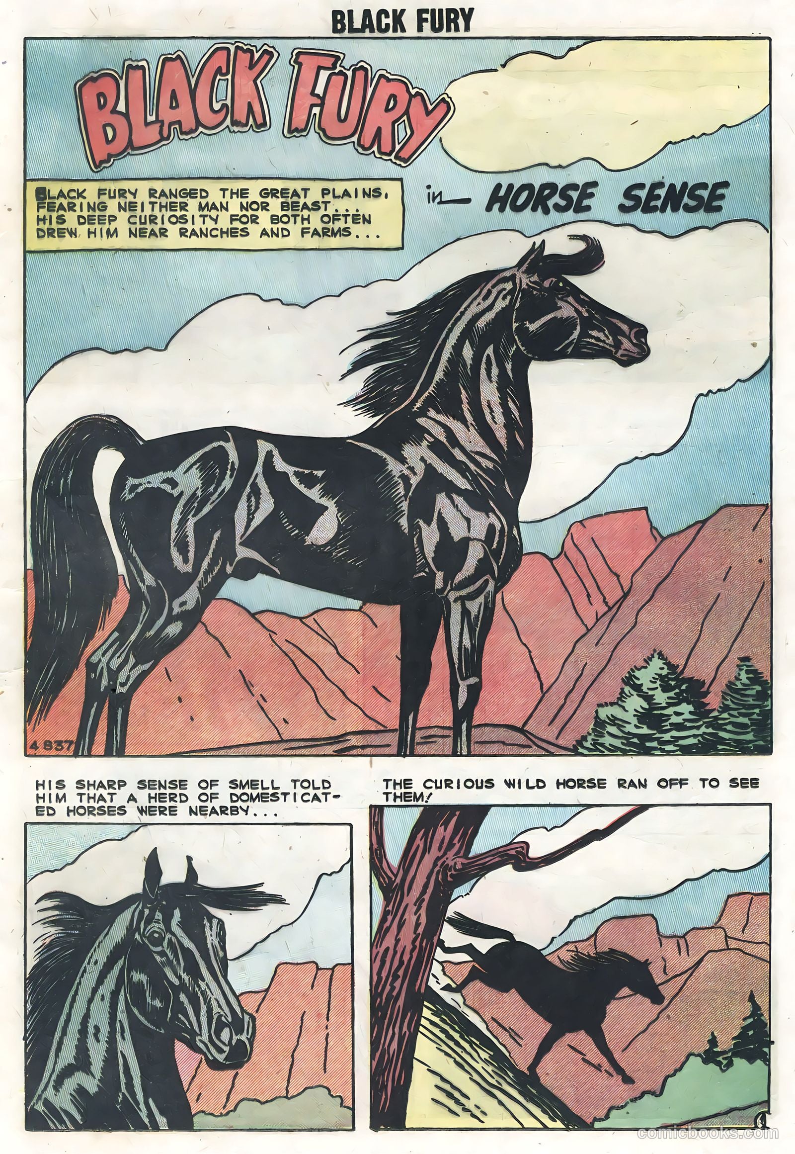 Black Fury #19 — page 13 of 36