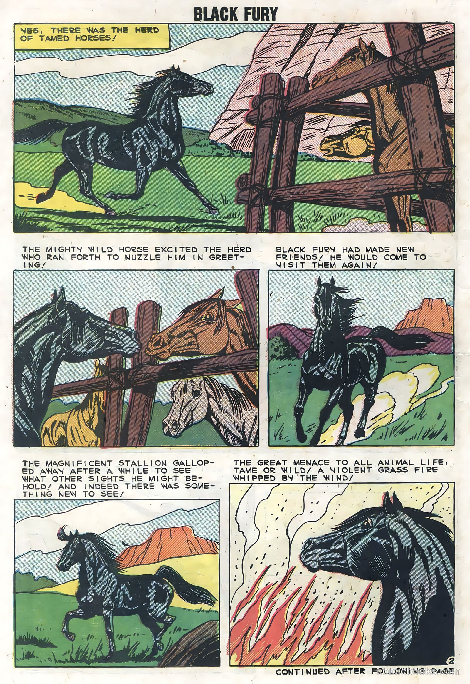 Black Fury #19 — page 14 of 36