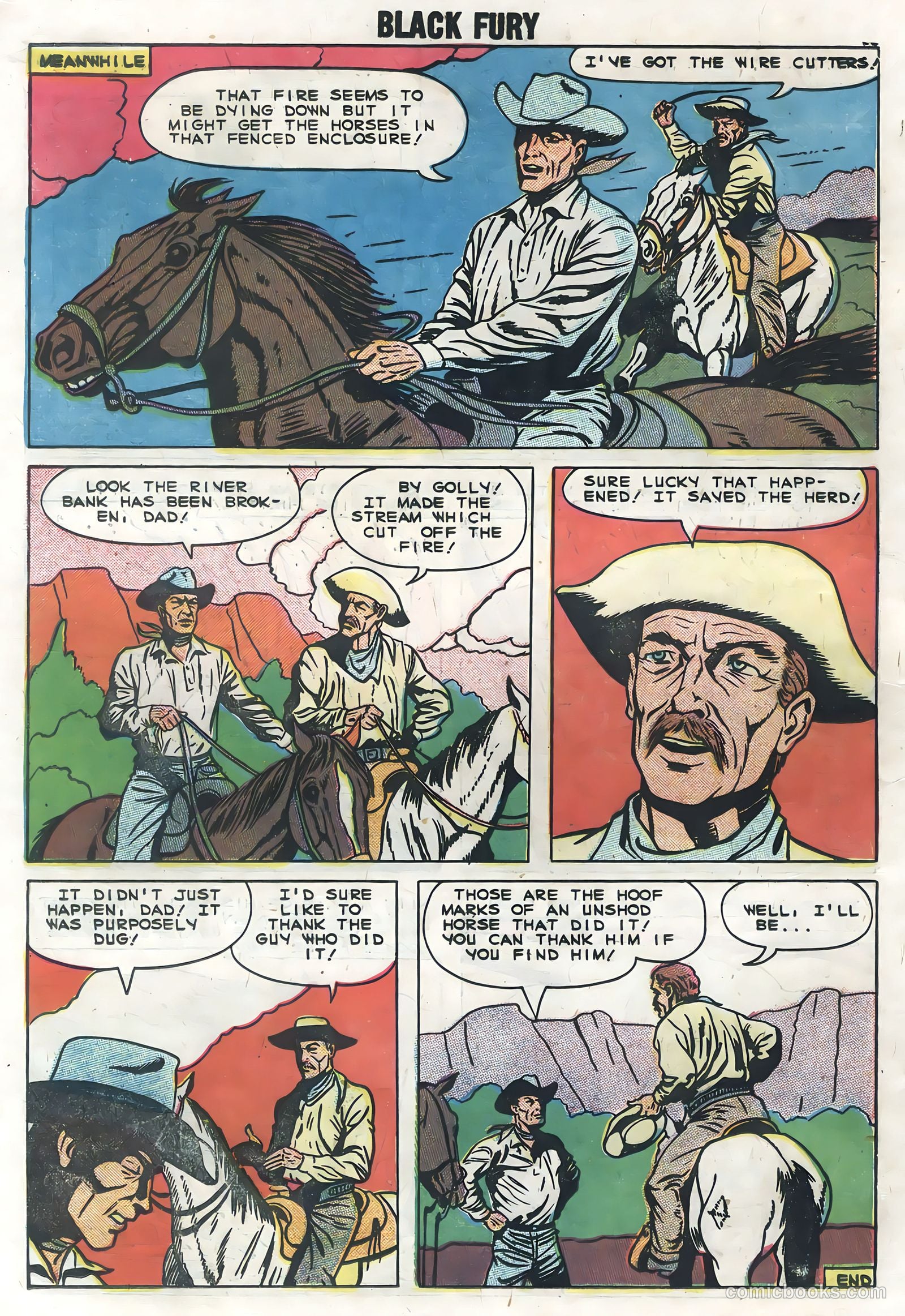 Black Fury #19 — page 18 of 36
