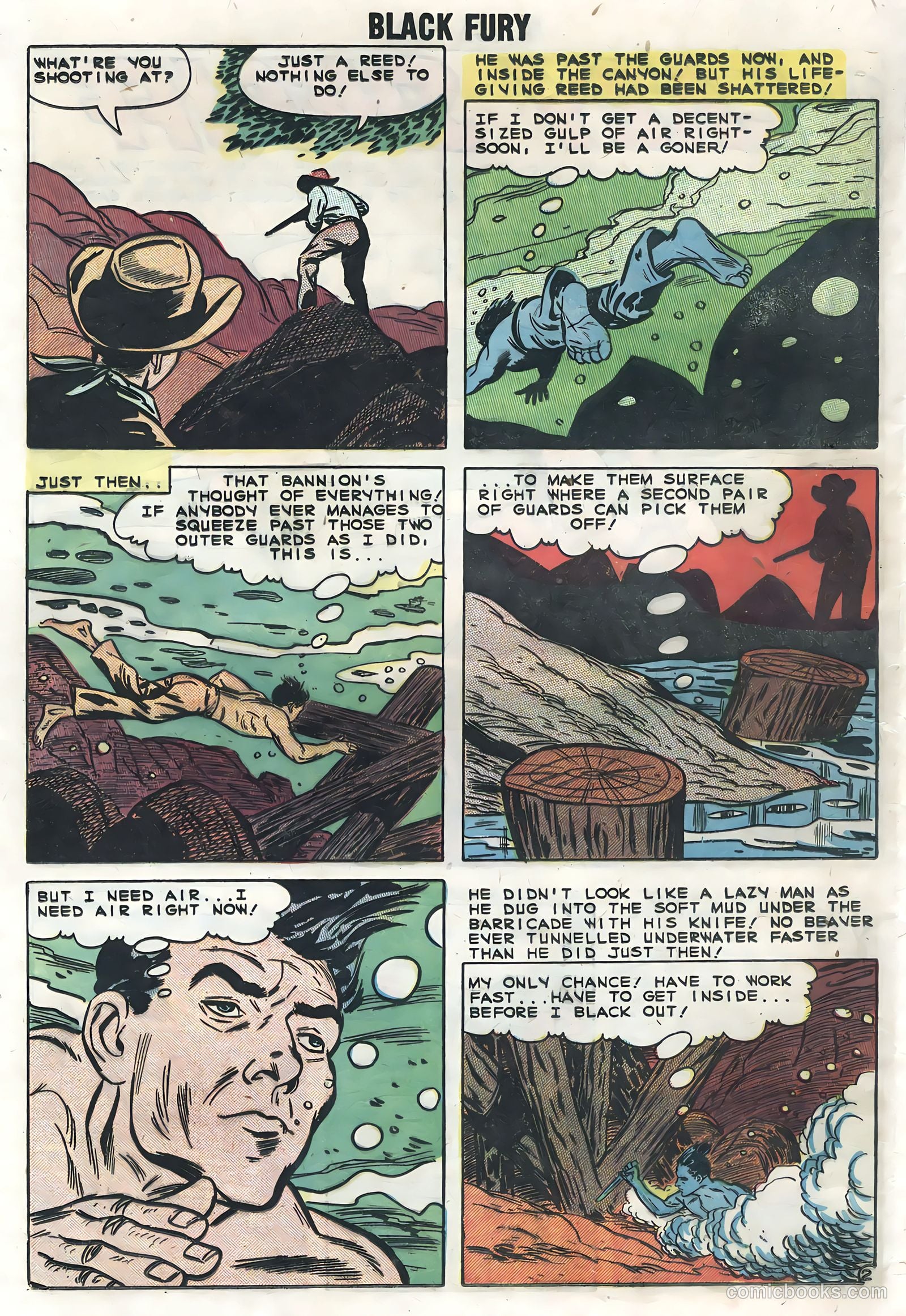 Black Fury #19 — page 24 of 36