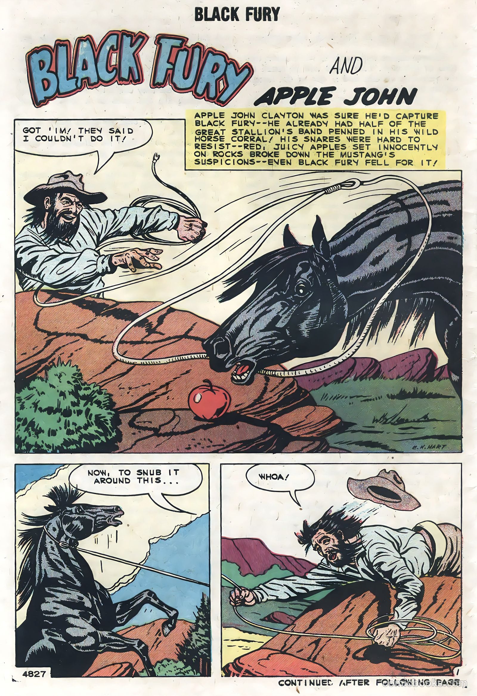 Black Fury #19 — page 30 of 36