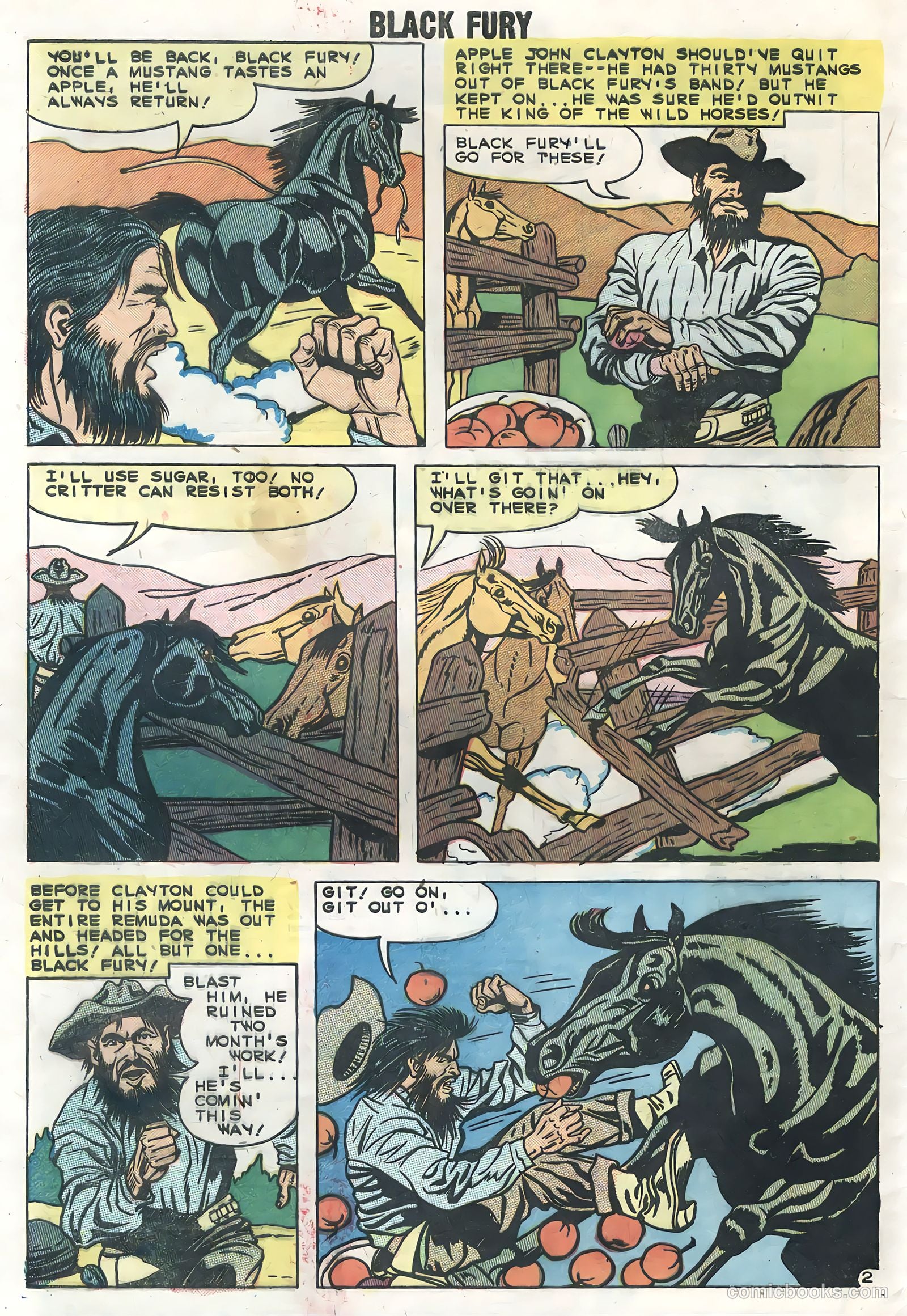 Black Fury #19 — page 32 of 36