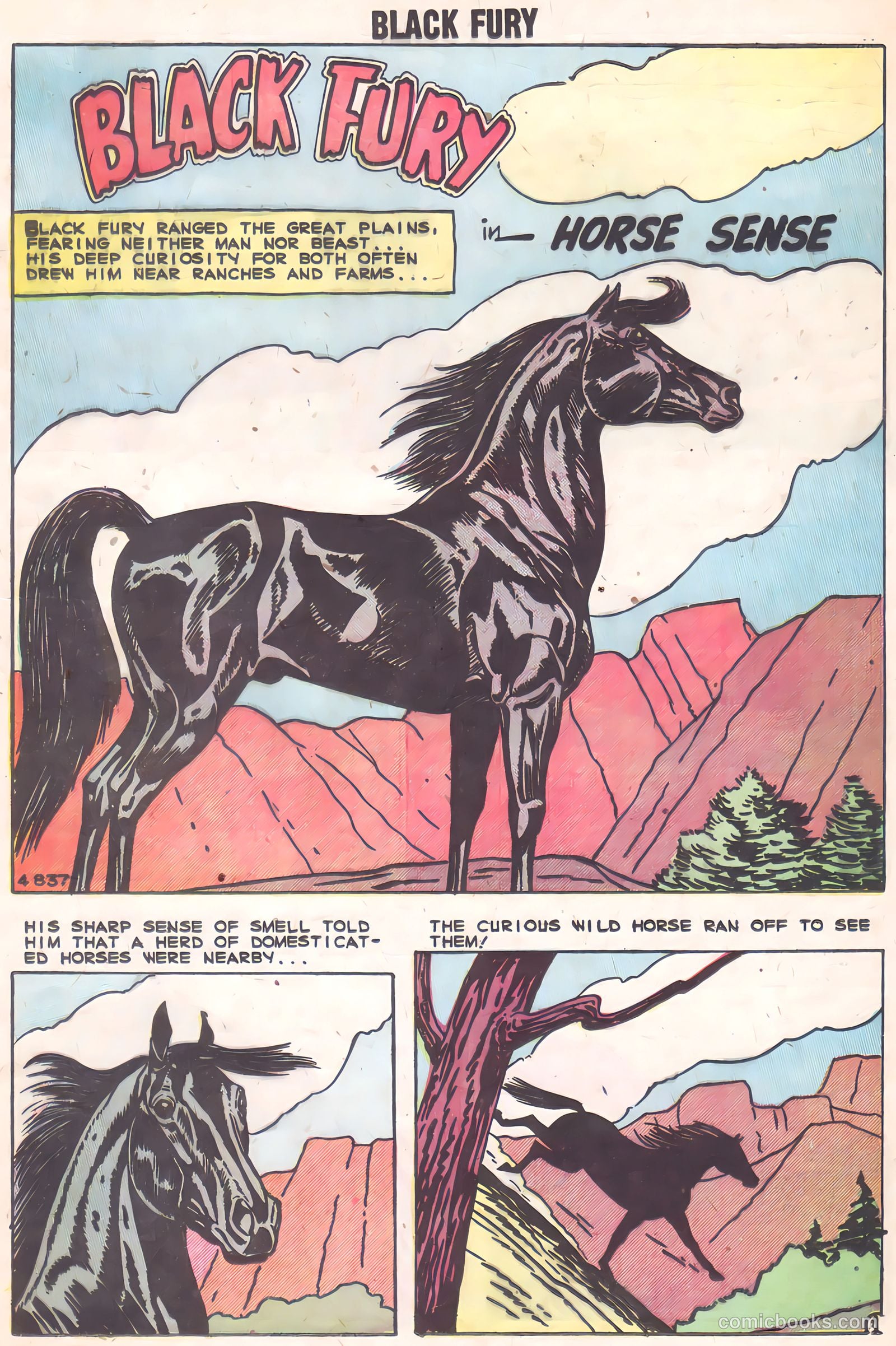 Black Fury #2 — page 13 of 36