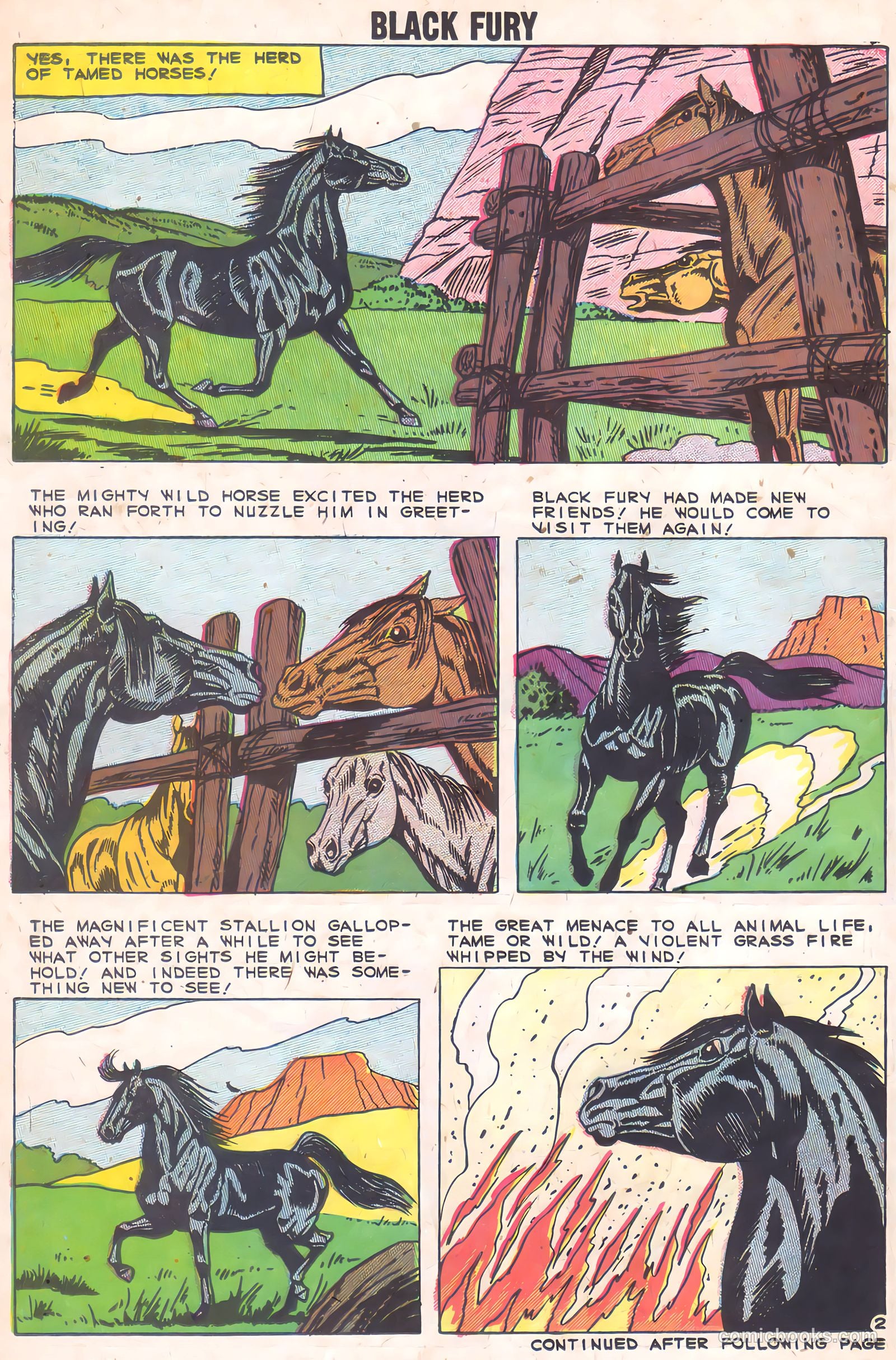 Black Fury #2 — page 14 of 36