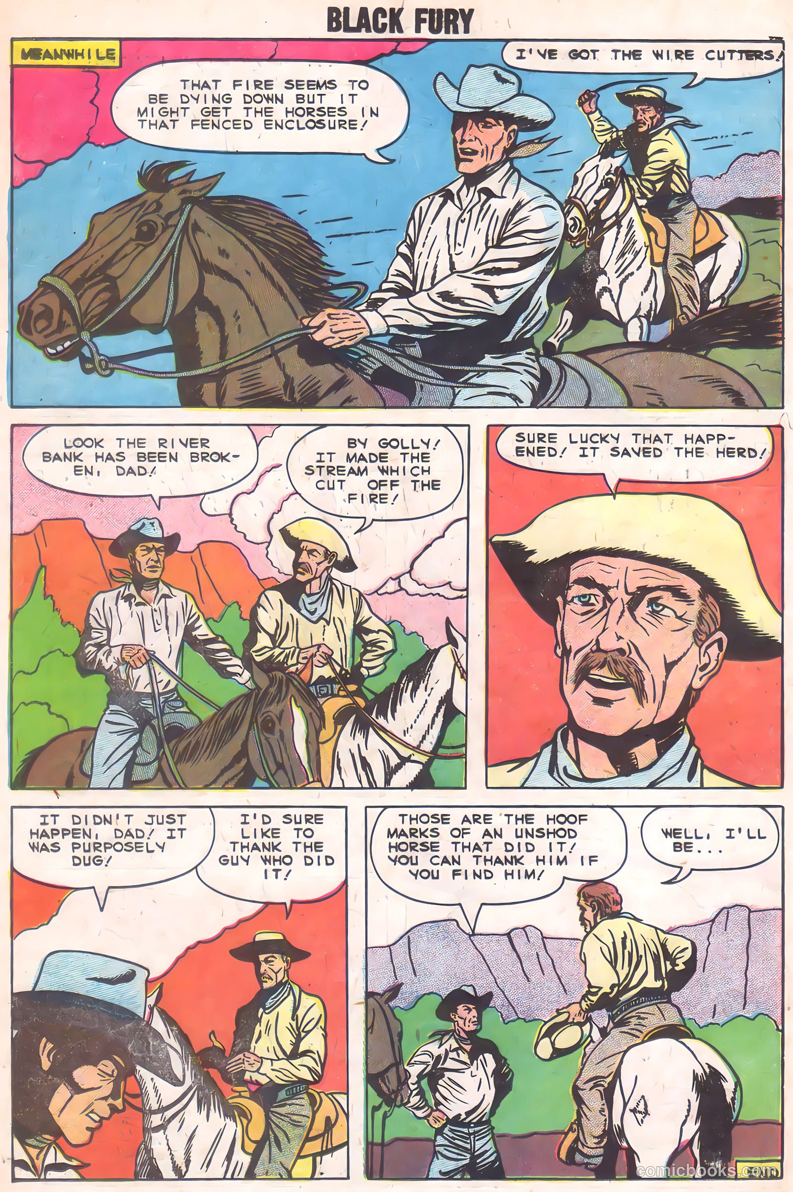 Black Fury #2 — page 18 of 36
