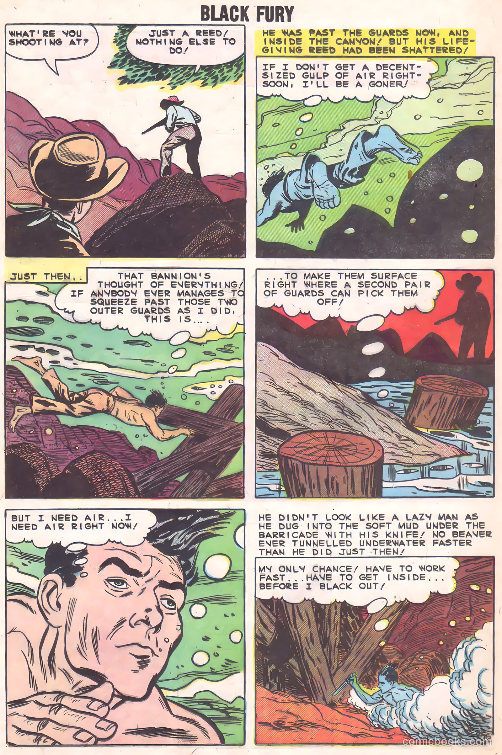 Black Fury #2 — page 24 of 36