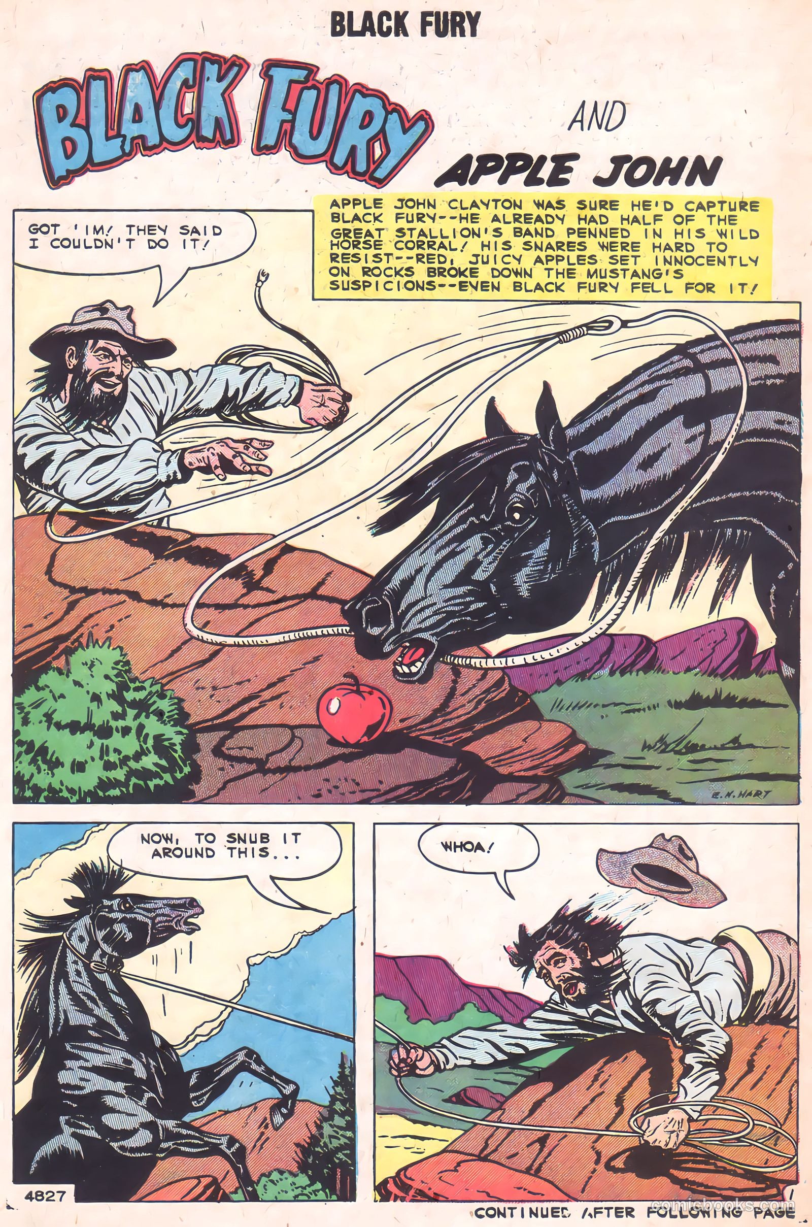Black Fury #2 — page 30 of 36