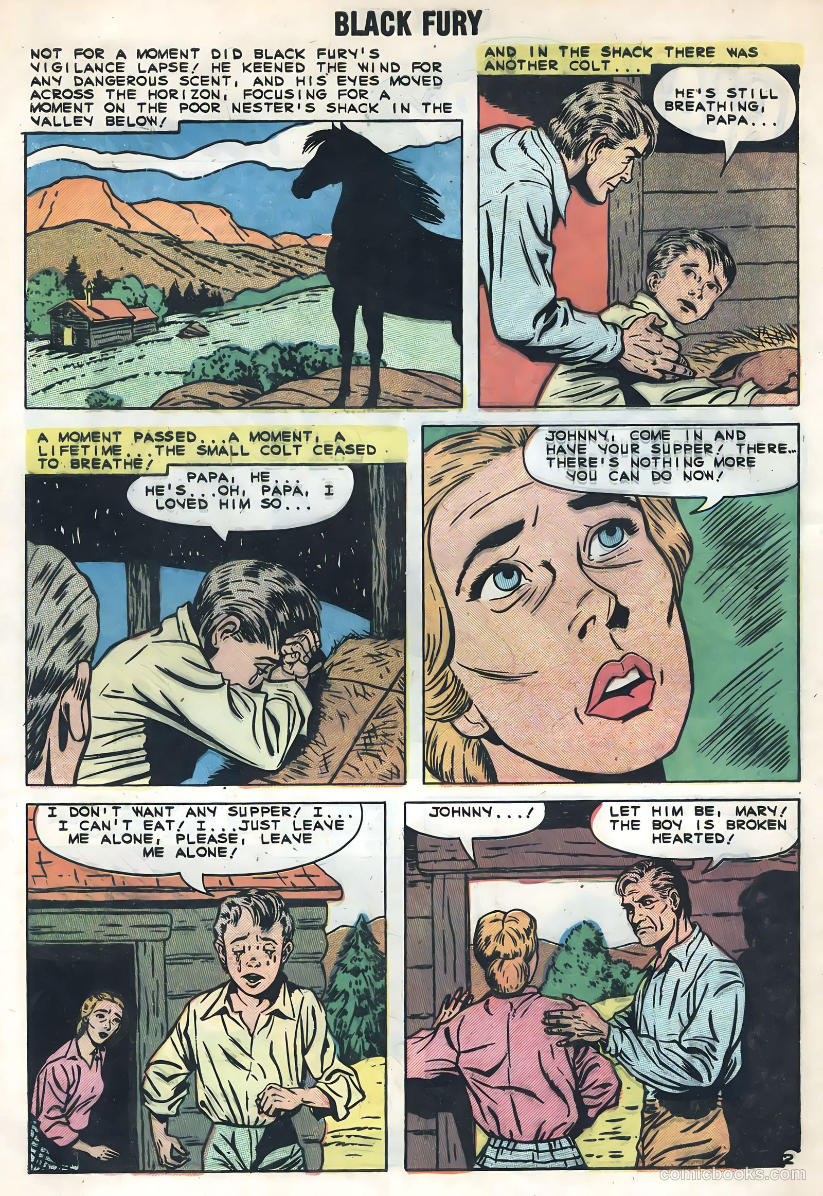 Black Fury #20 — page 4 of 36