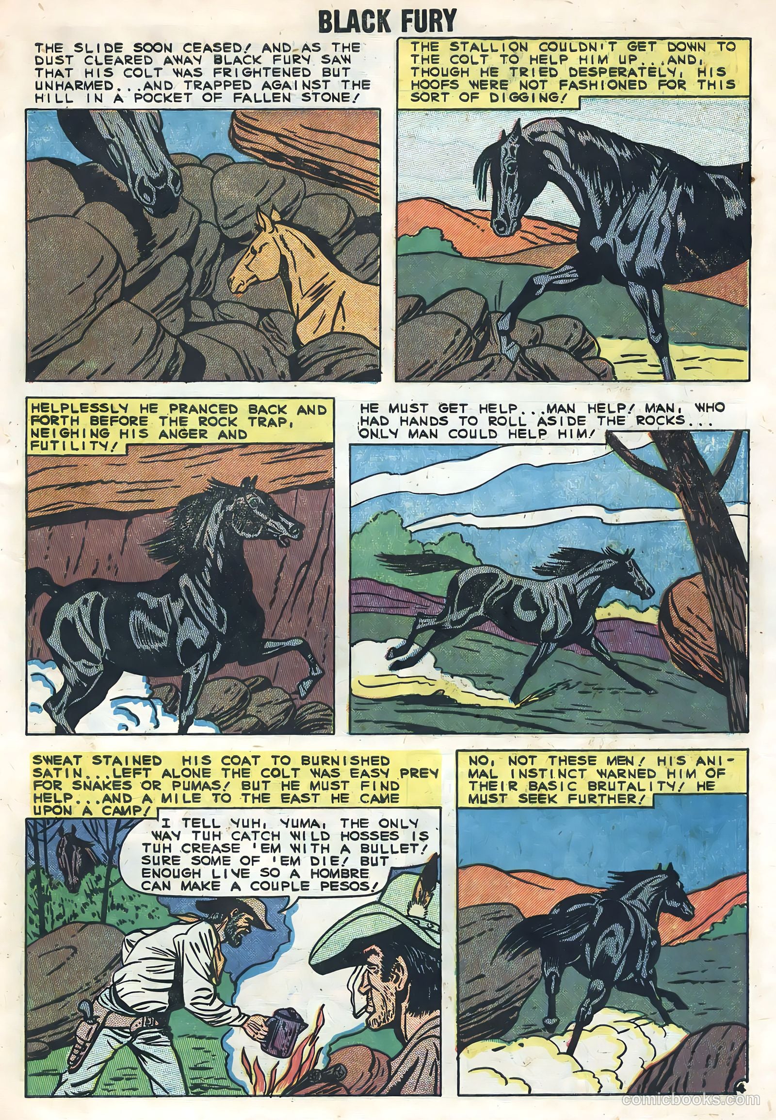 Black Fury #20 — page 7 of 36
