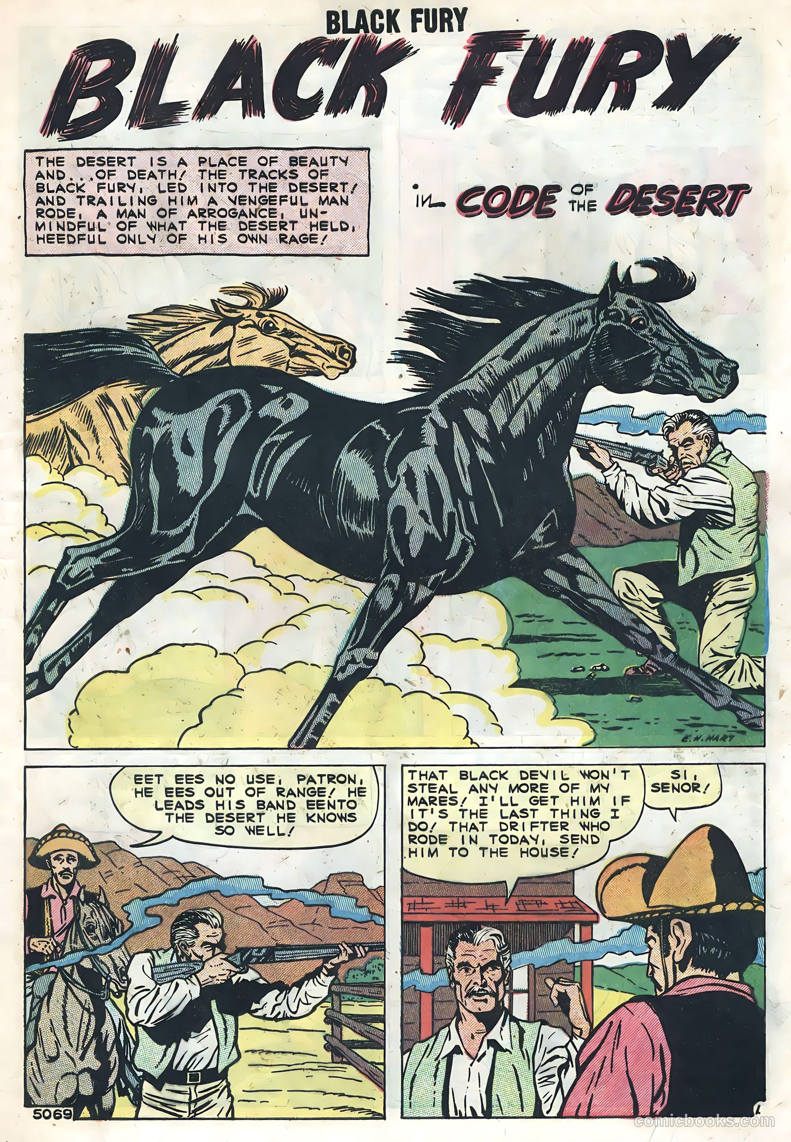 Black Fury #20 — page 9 of 36