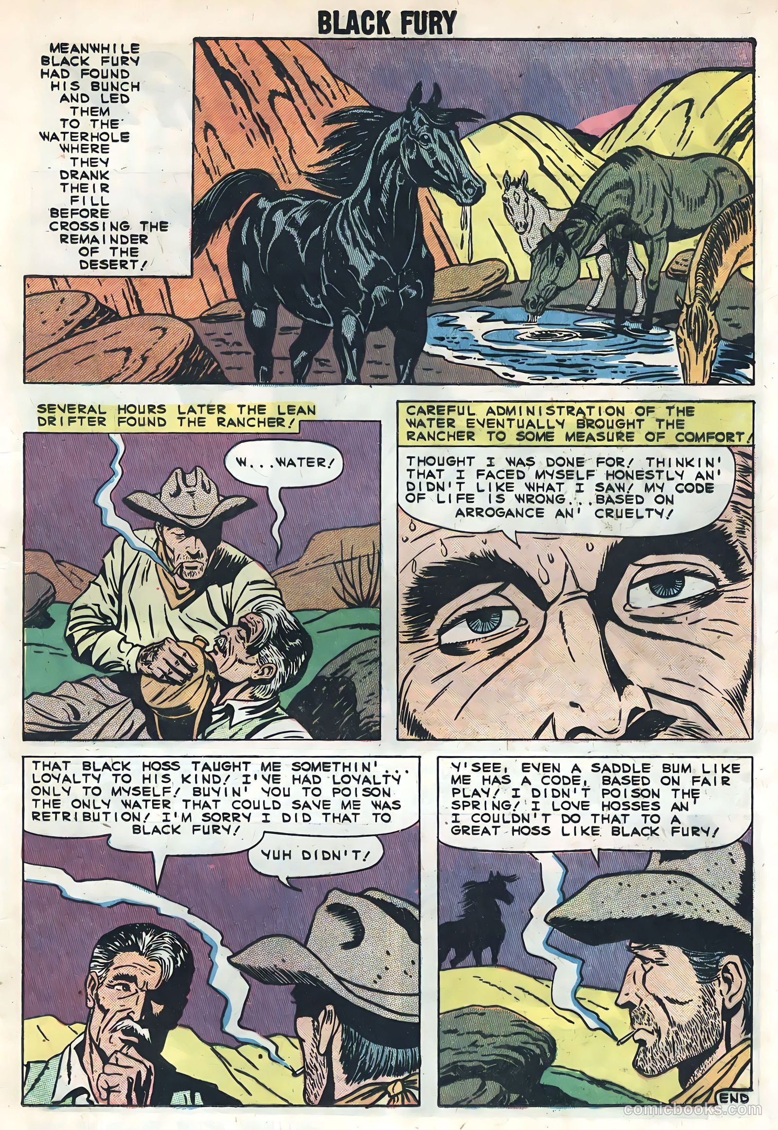 Black Fury #20 — page 13 of 36