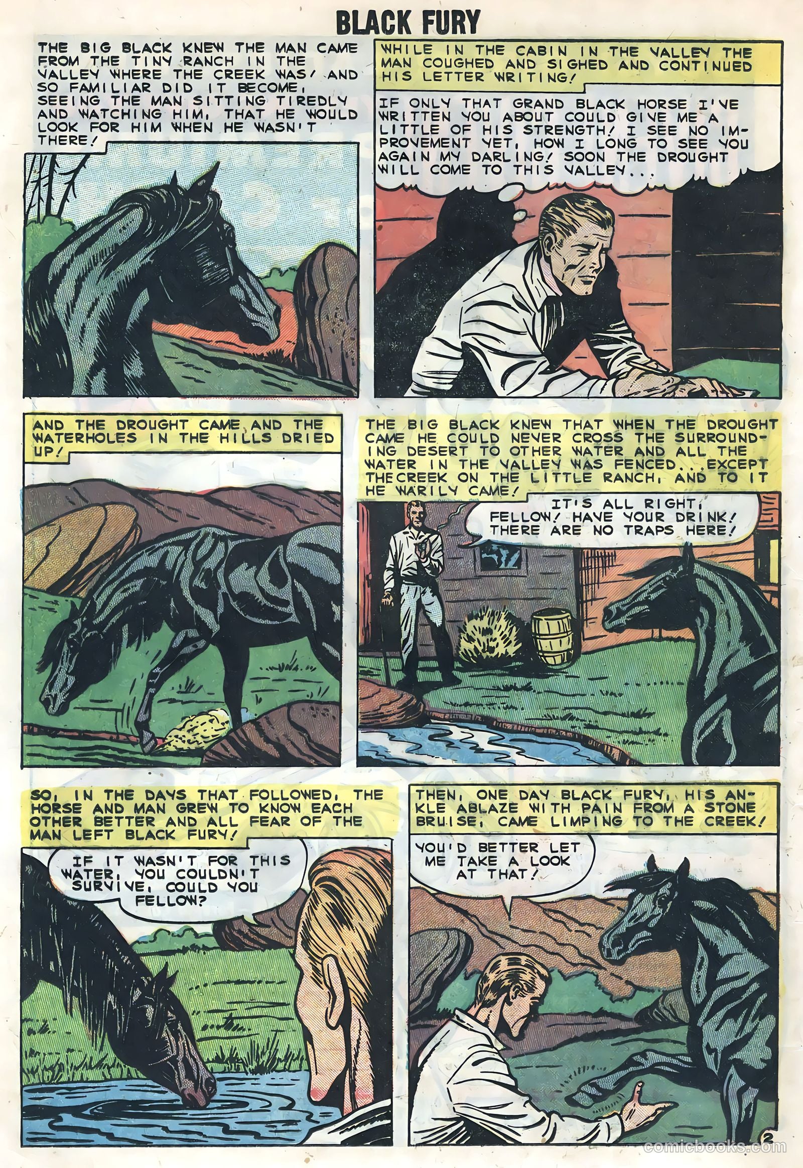 Black Fury #20 — page 16 of 36