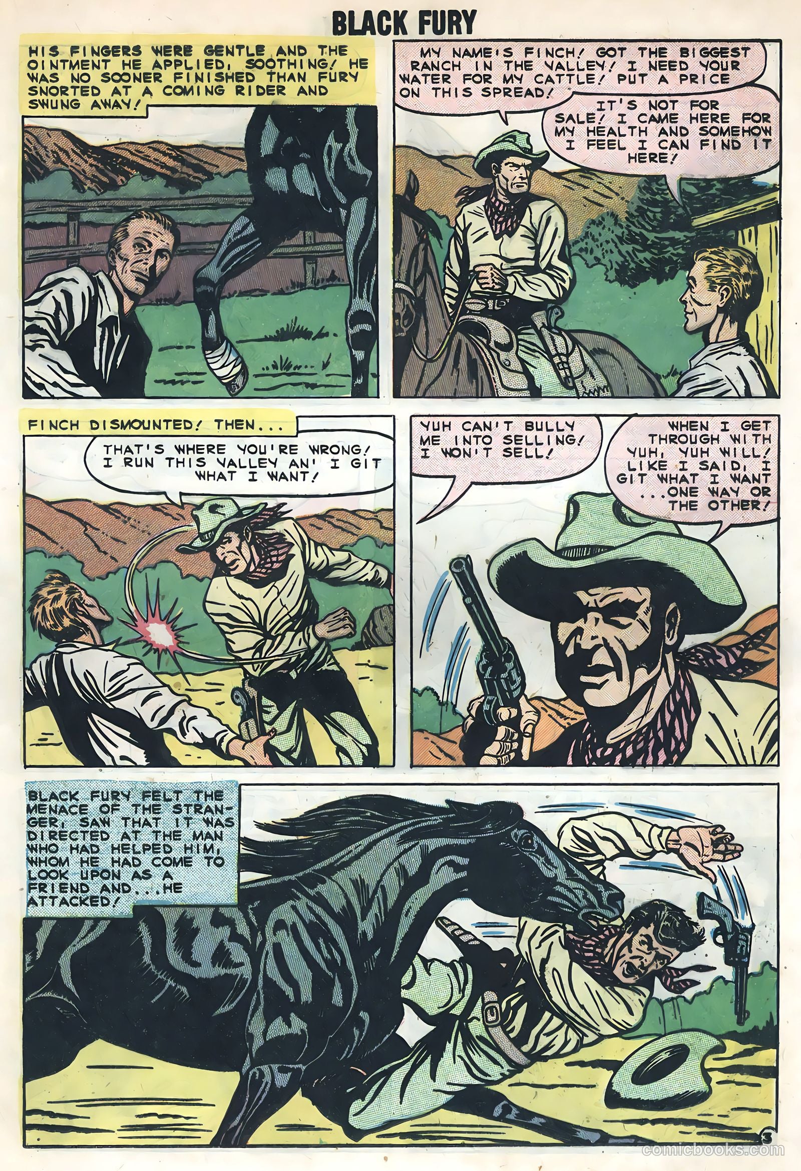 Black Fury #20 — page 17 of 36