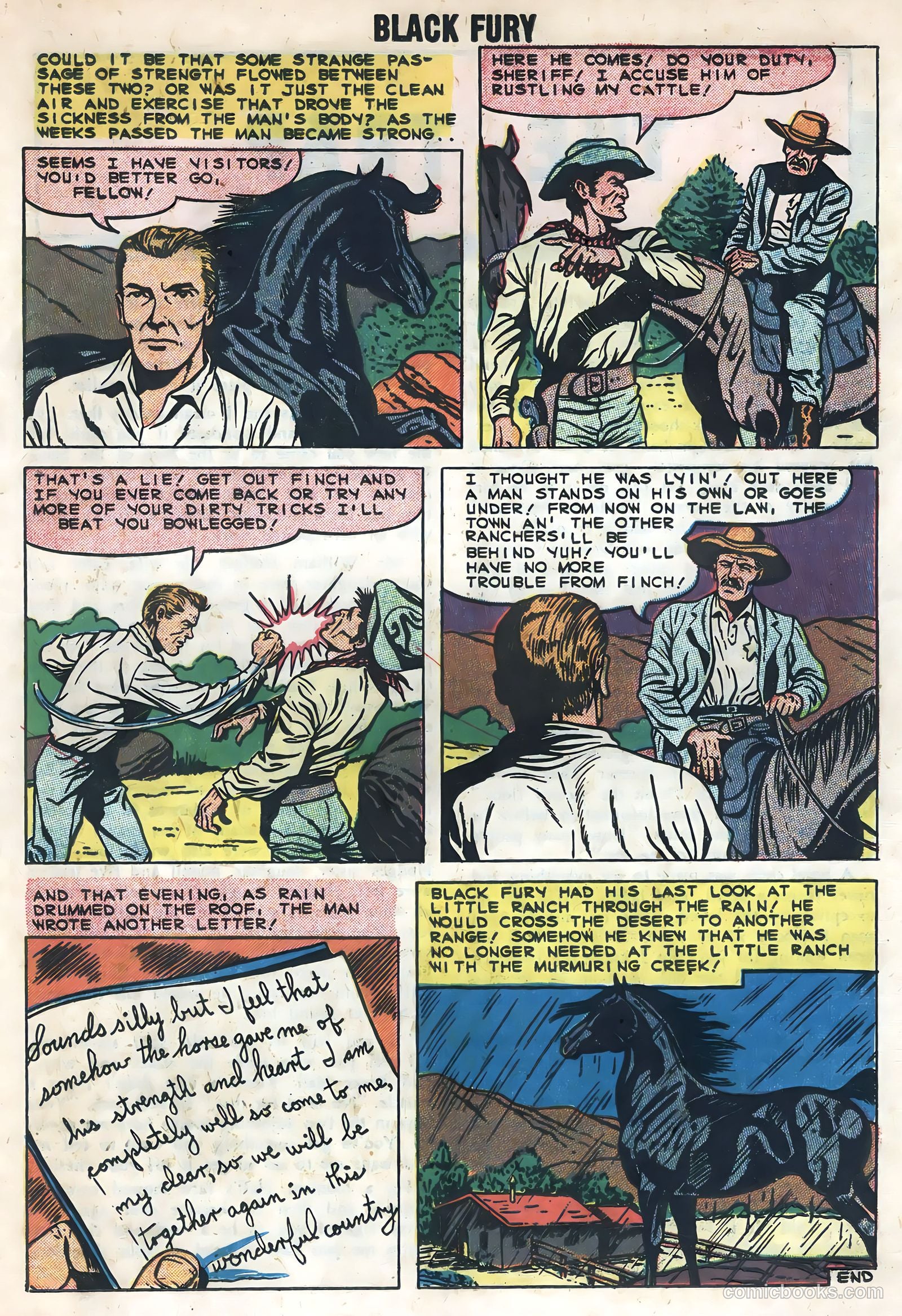 Black Fury #20 — page 19 of 36