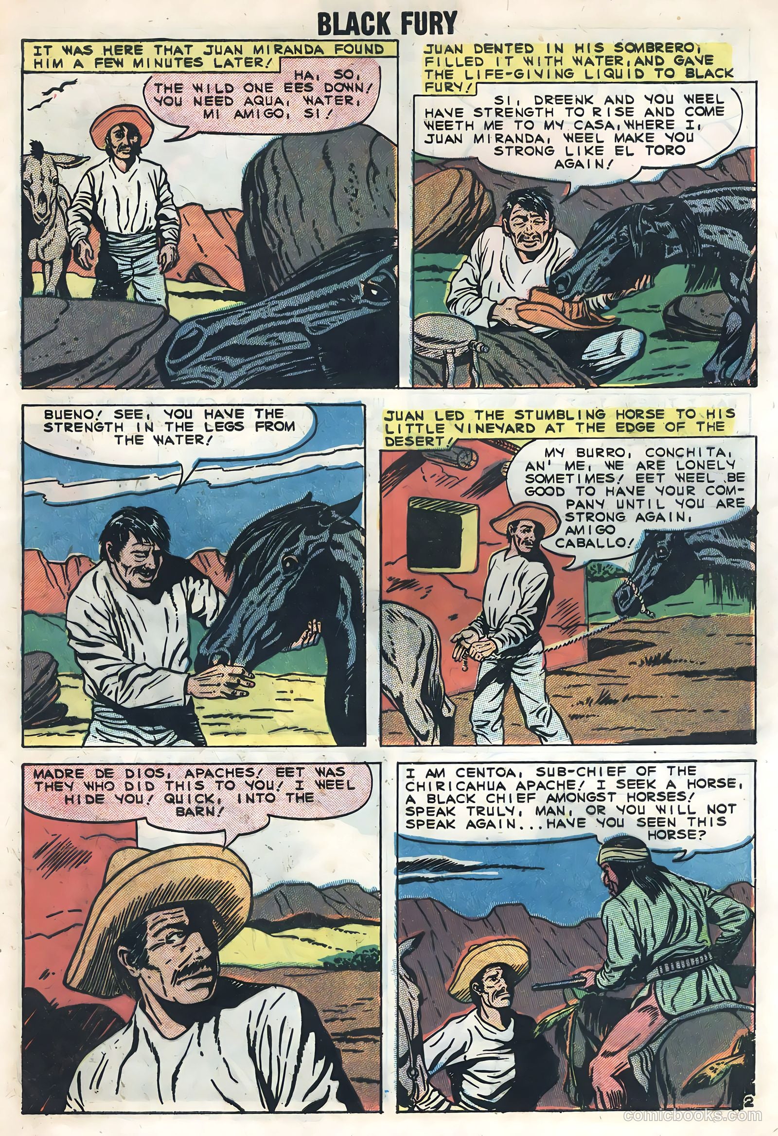 Black Fury #20 — page 29 of 36