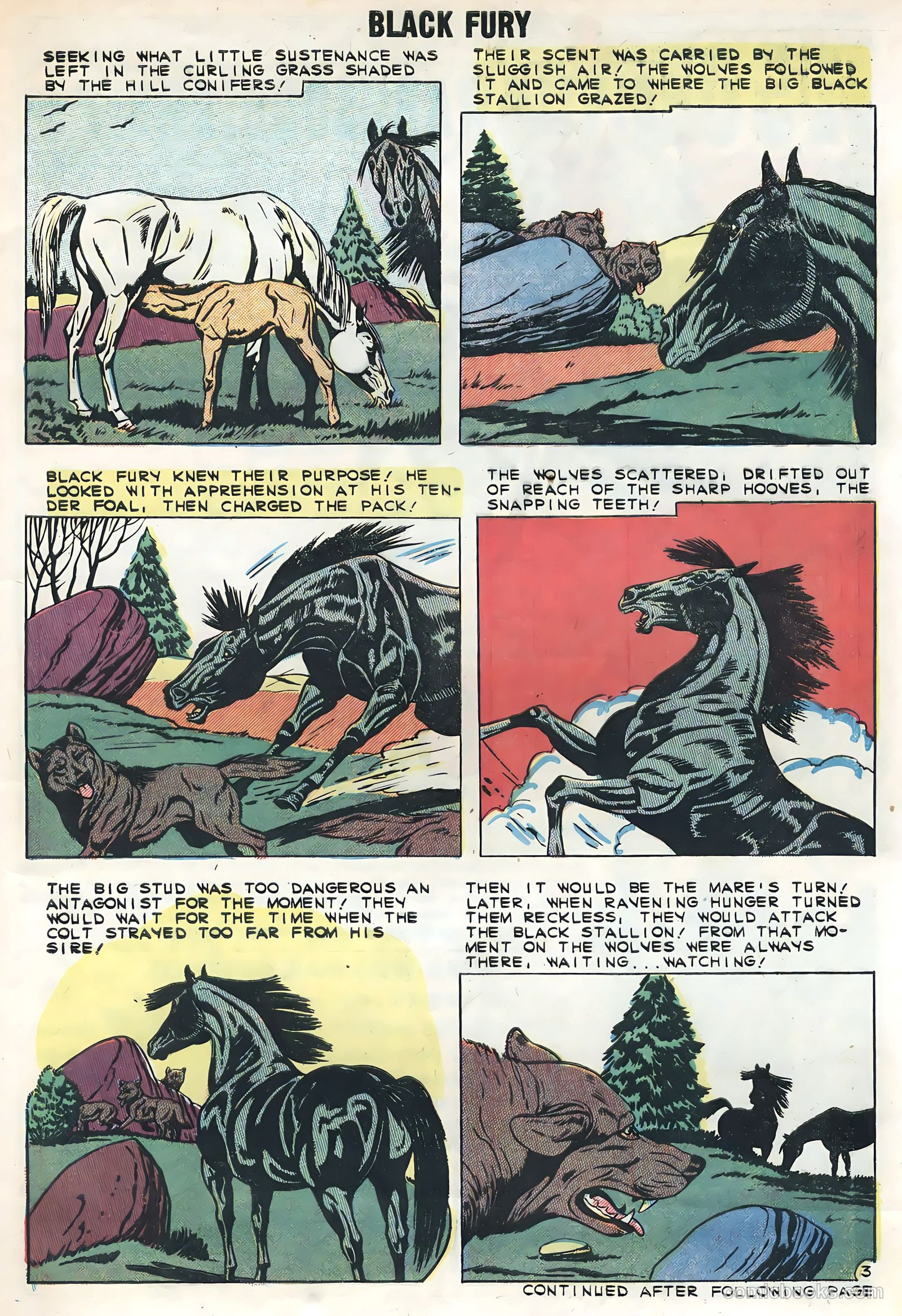 Black Fury #21 — page 5 of 36