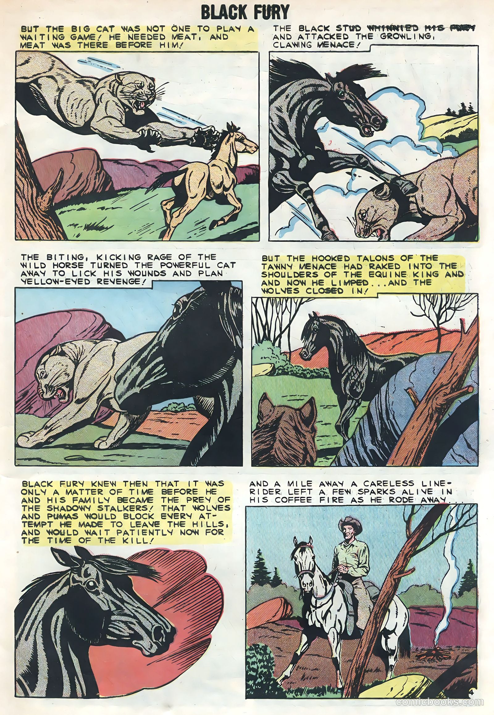 Black Fury #21 — page 7 of 36