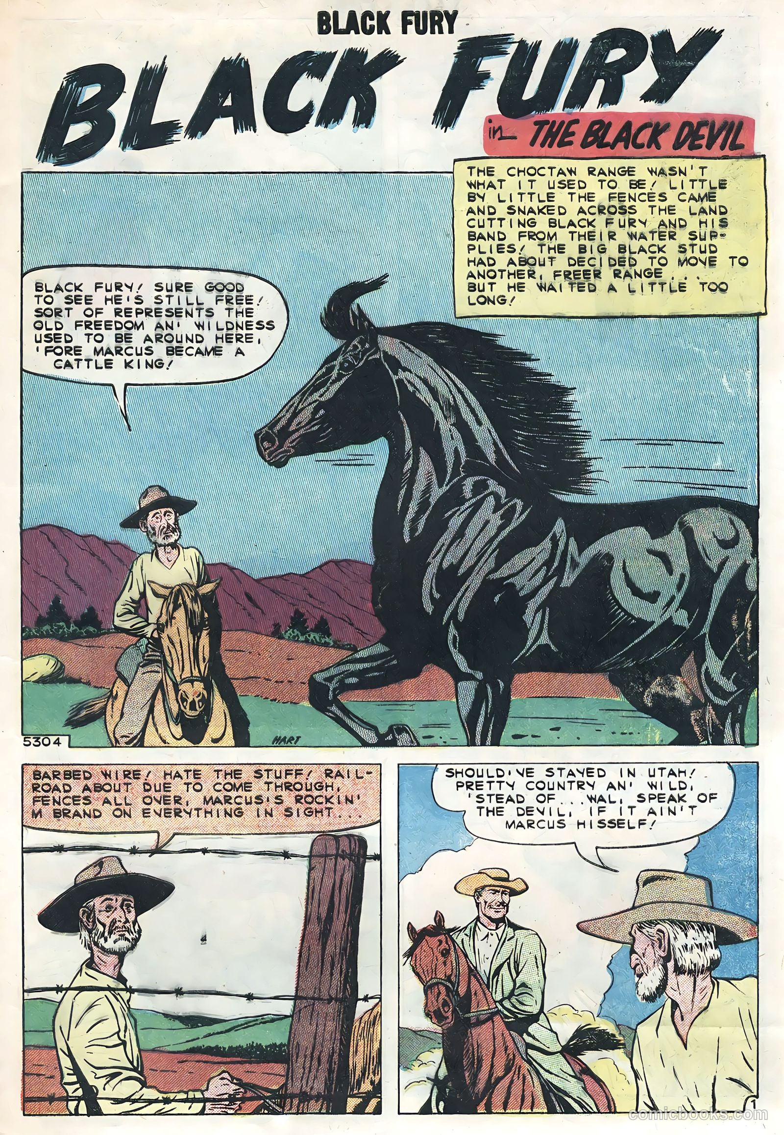 Black Fury #21 — page 9 of 36