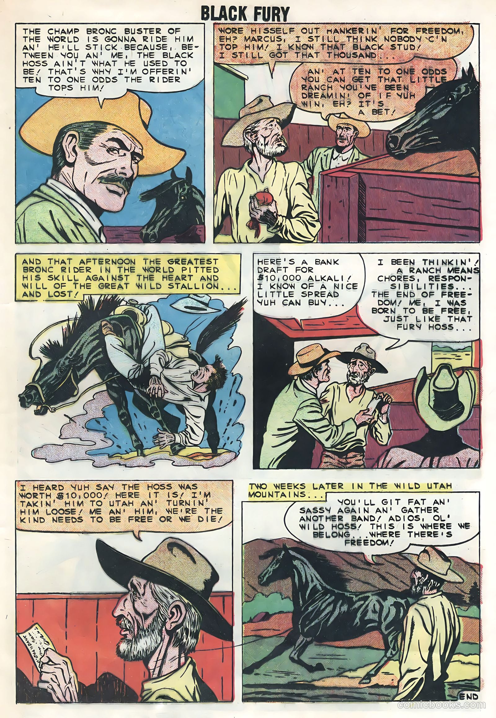 Black Fury #21 — page 13 of 36