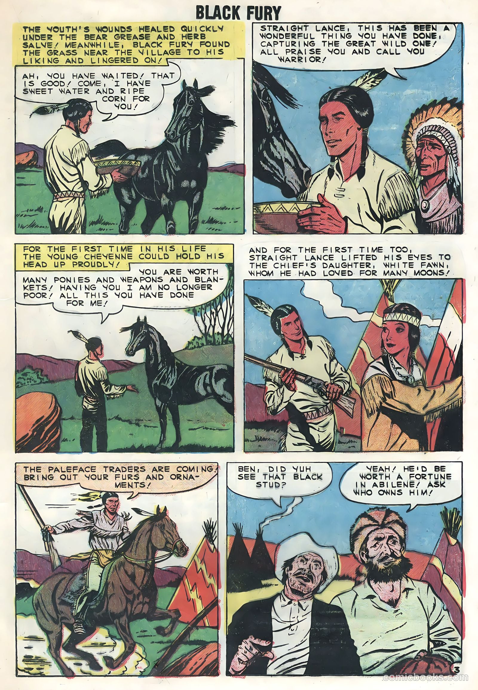 Black Fury #21 — page 17 of 36