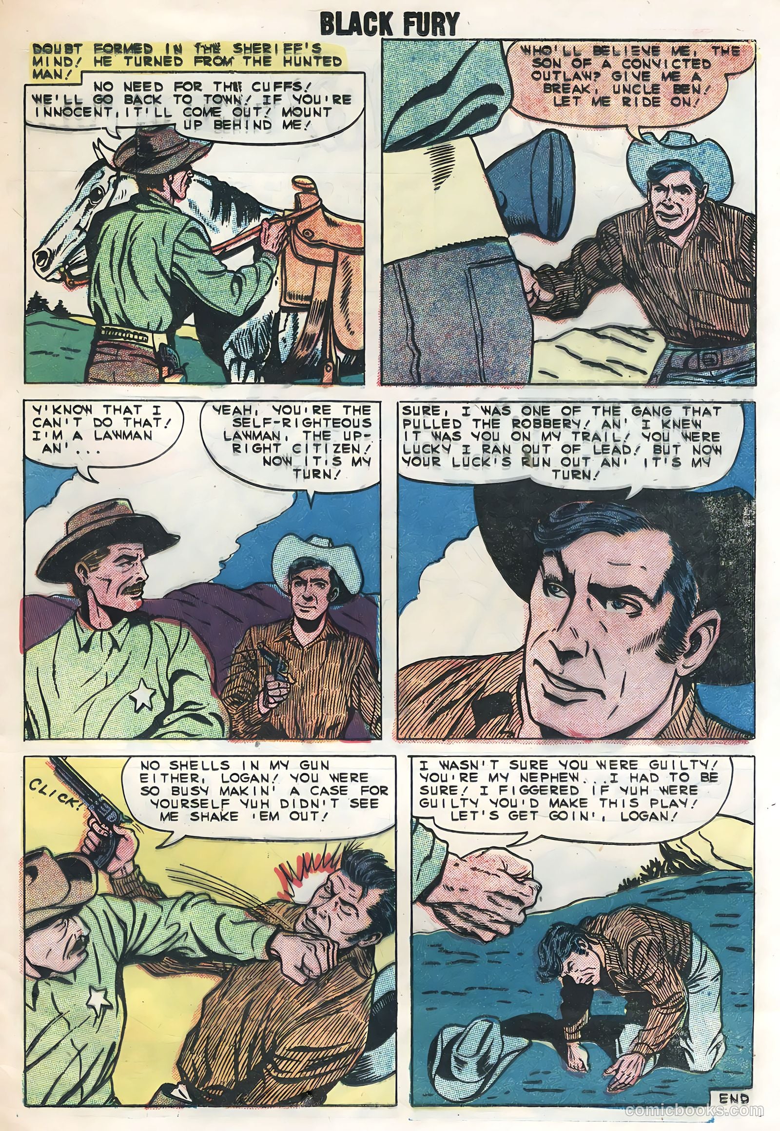 Black Fury #21 — page 25 of 36