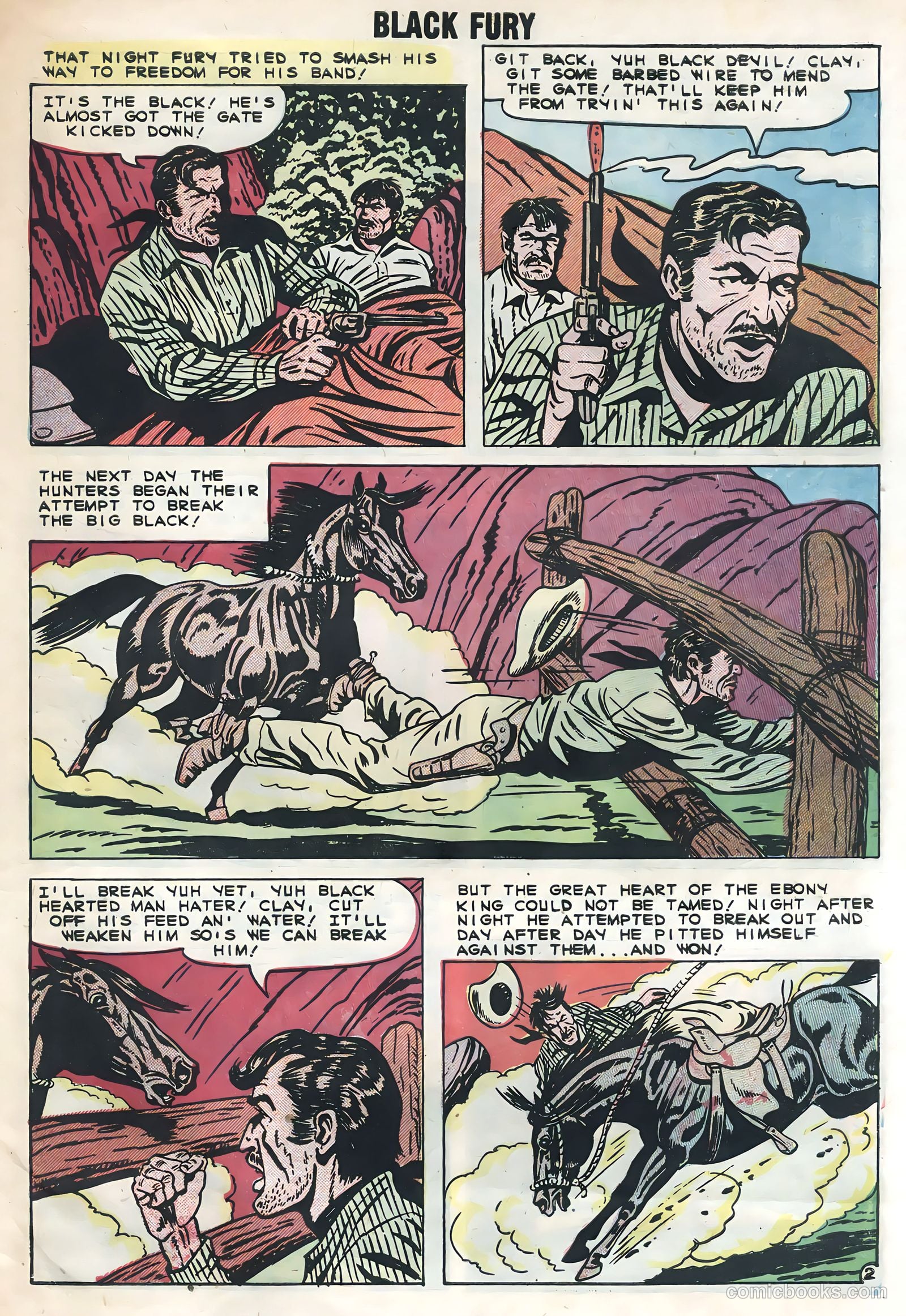 Black Fury #21 — page 27 of 36