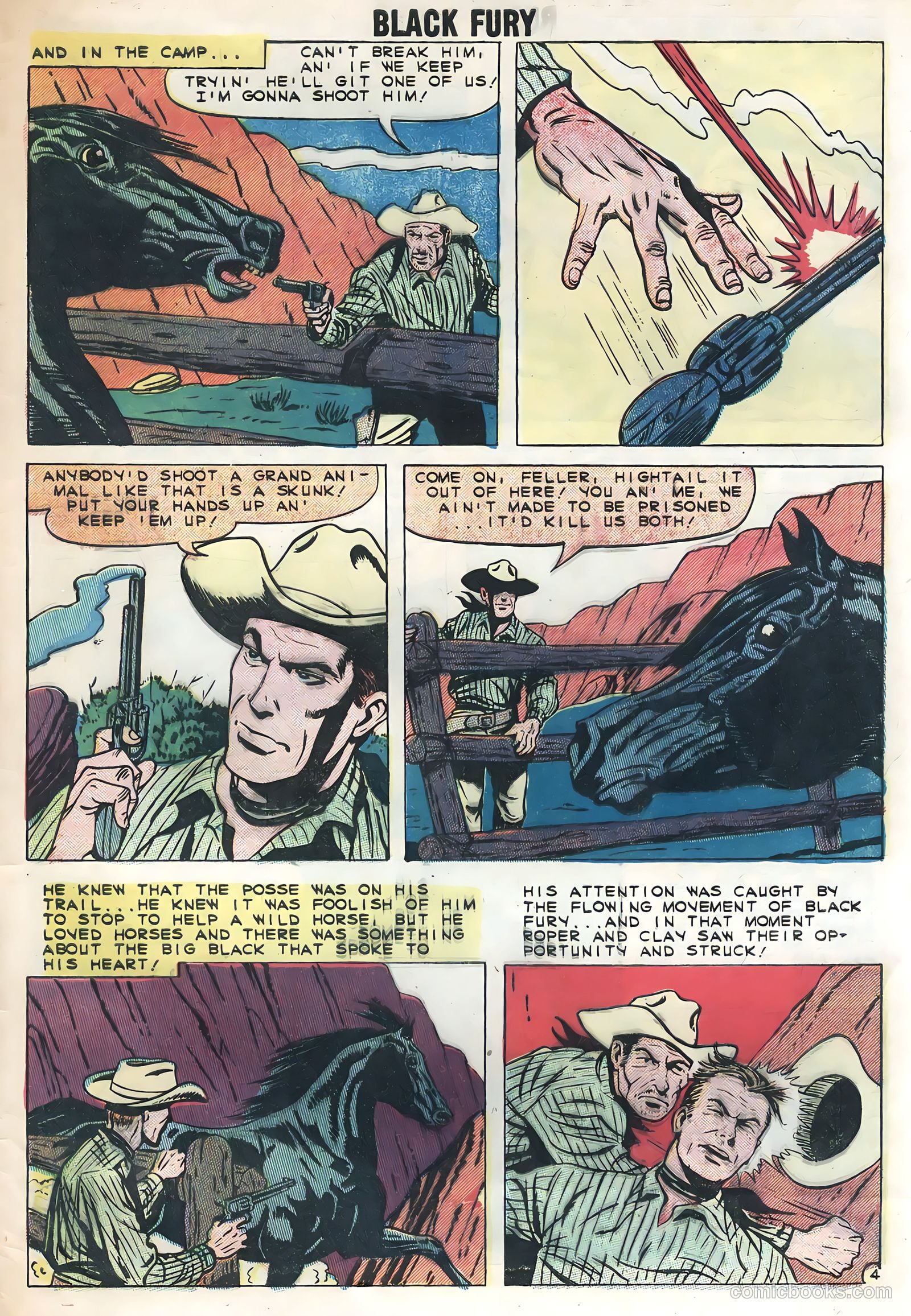 Black Fury #21 — page 29 of 36