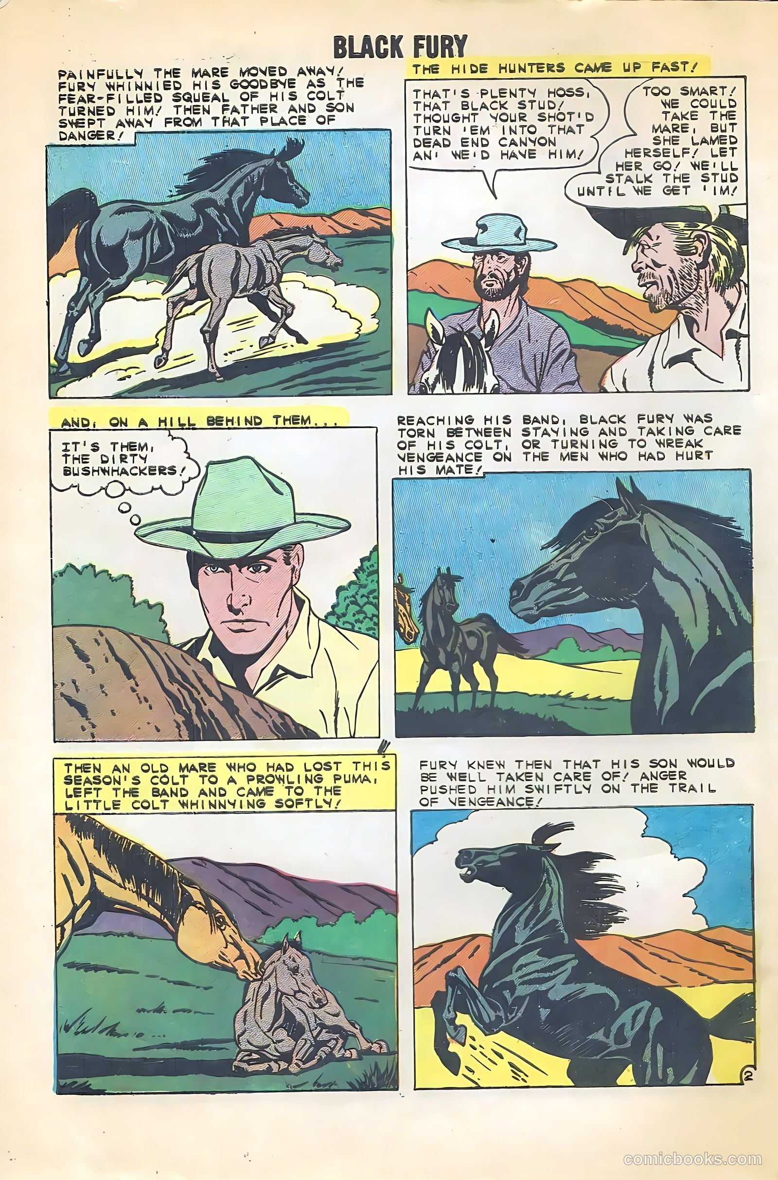 Black Fury #22 — page 4 of 36