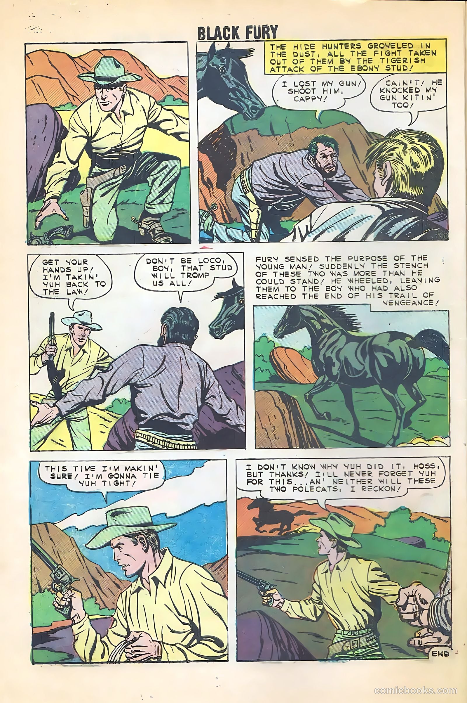 Black Fury #22 — page 8 of 36