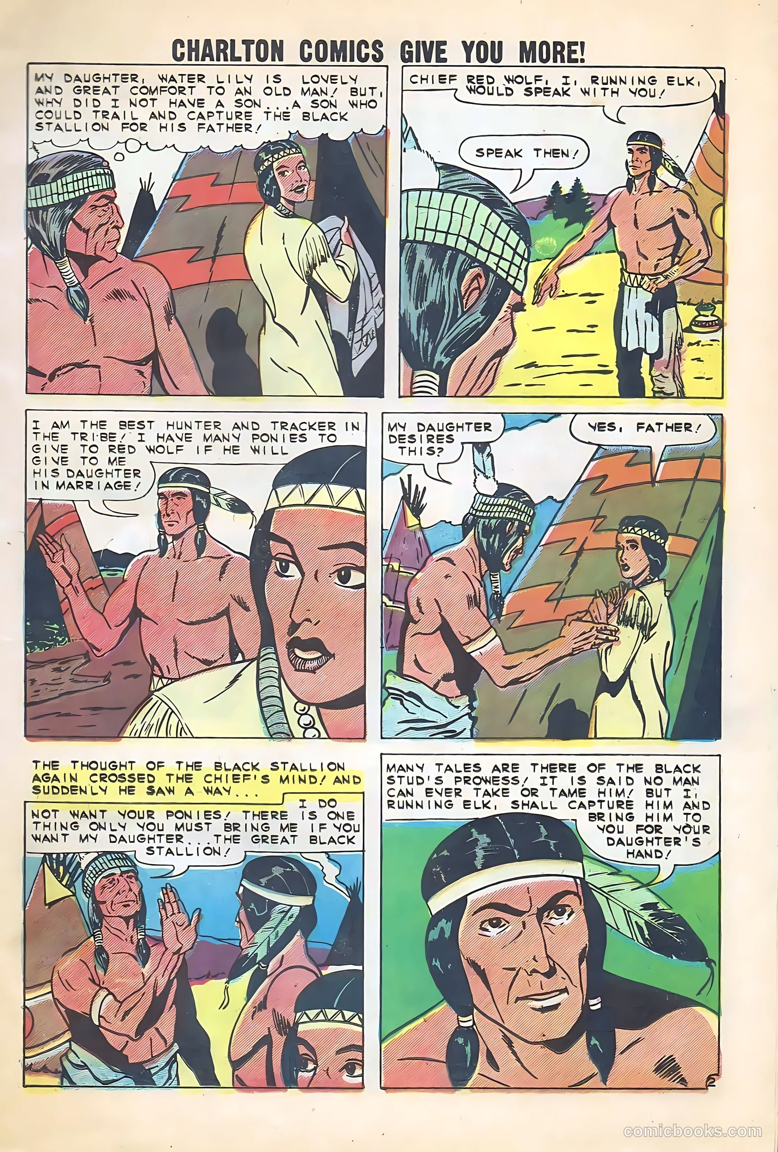 Black Fury #22 — page 11 of 36