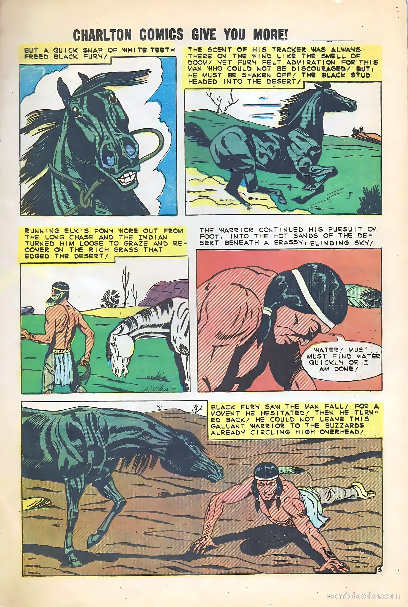 Black Fury #22 — page 13 of 36