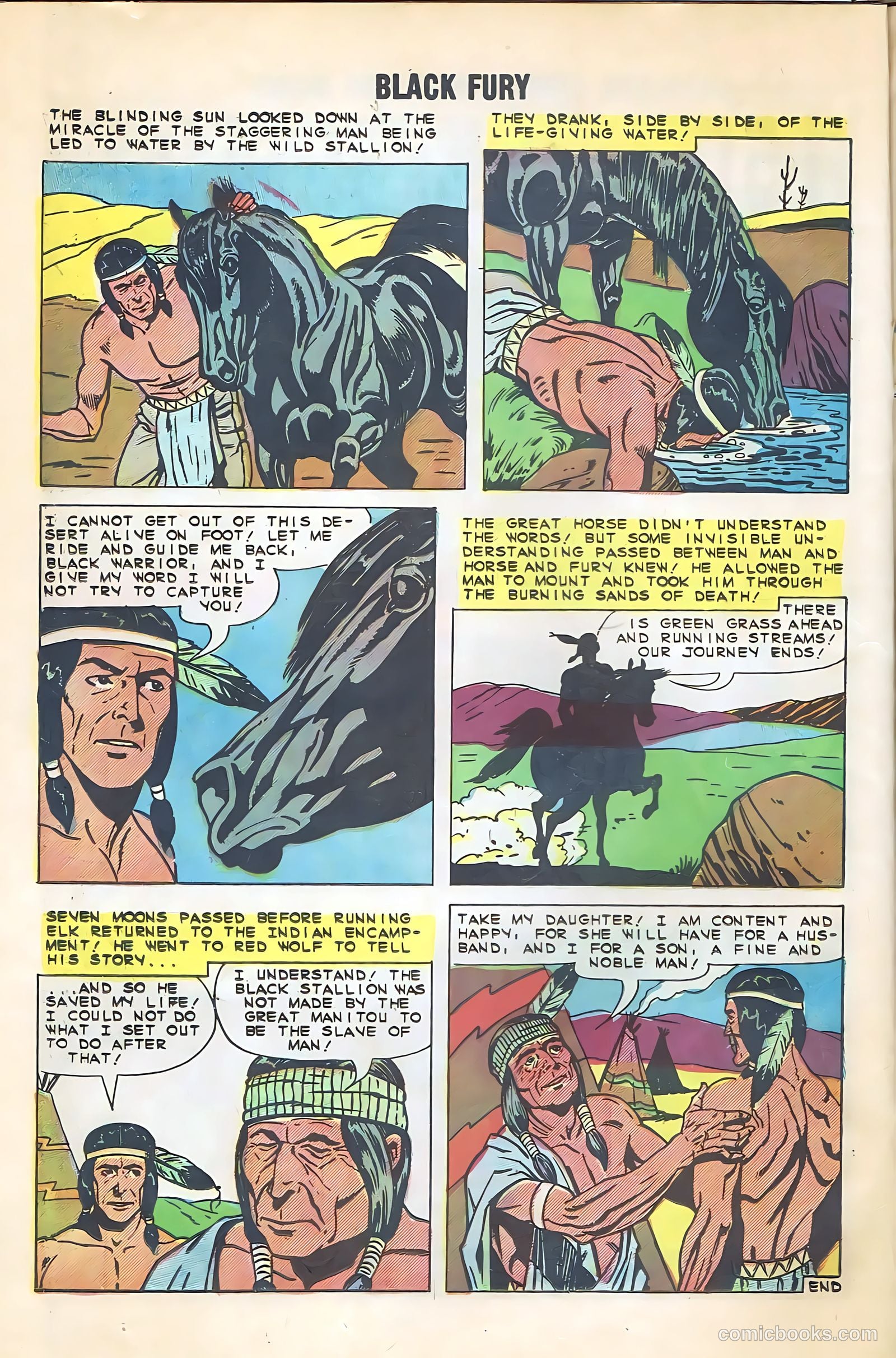 Black Fury #22 — page 14 of 36