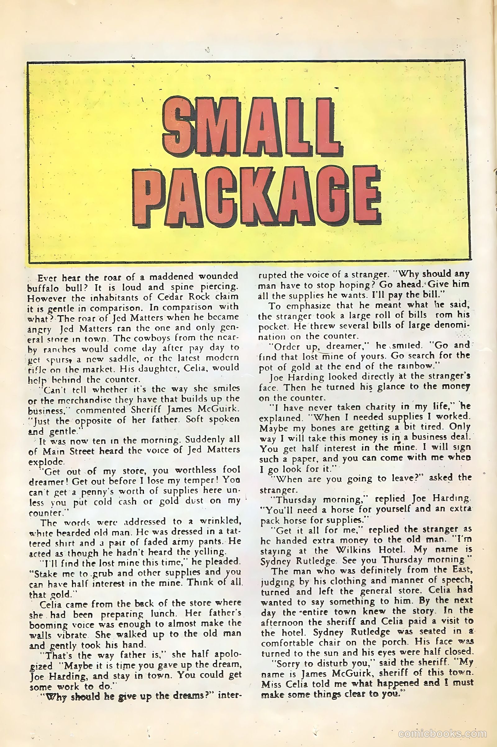 Black Fury #22 — page 16 of 36
