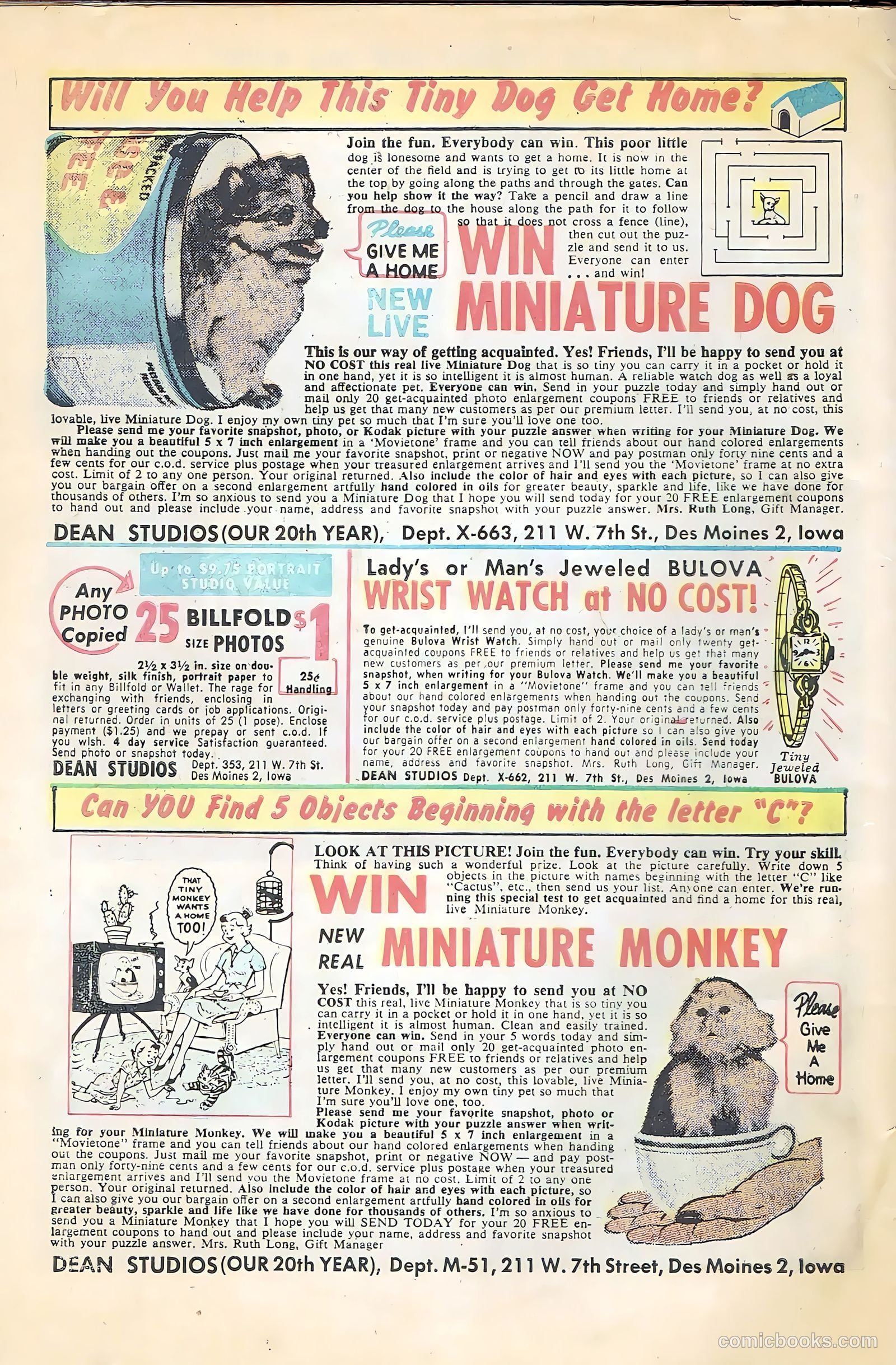 Black Fury #22 — page 34 of 36